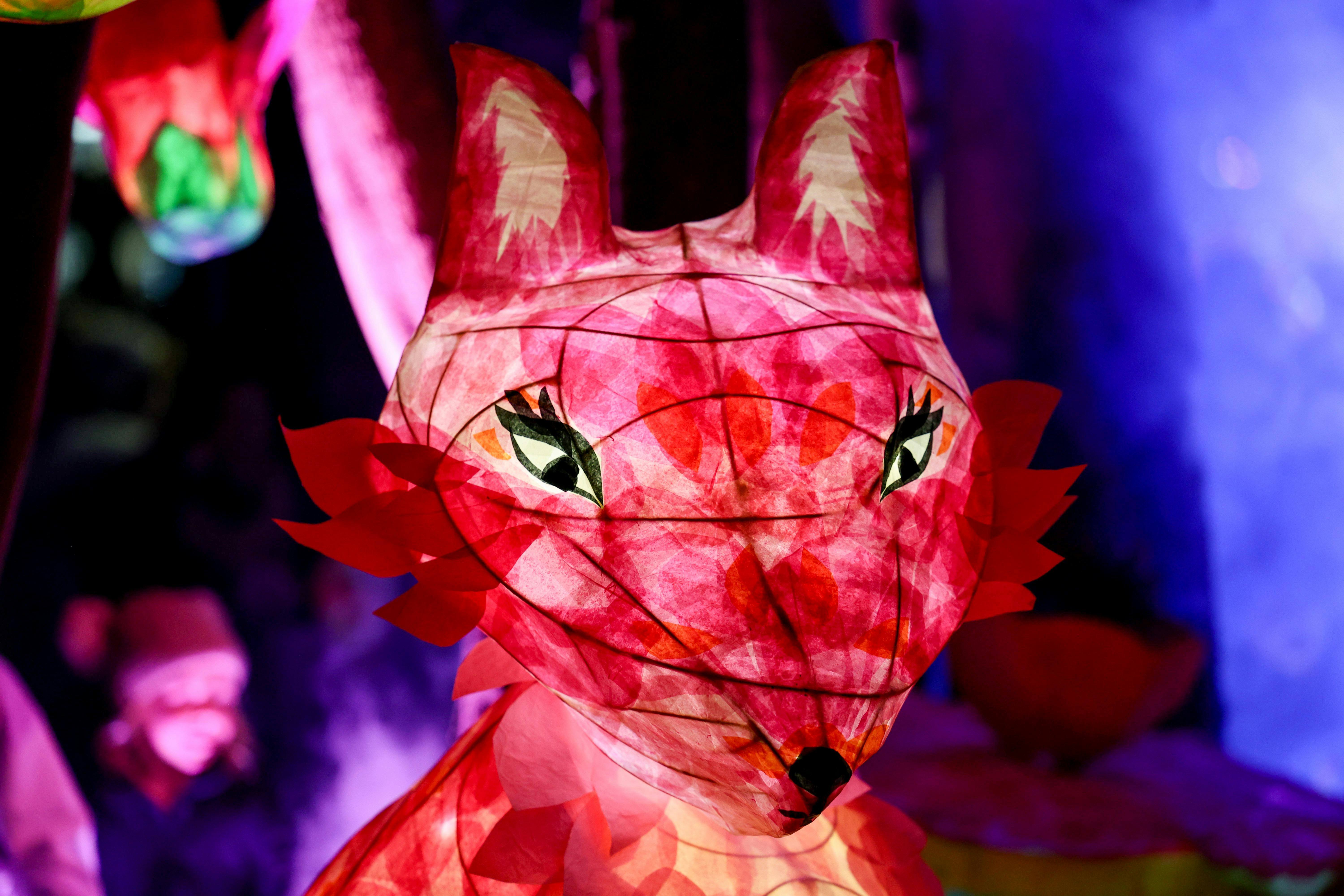 An illuminated blossom fox lantern at the Lakes Lights lantern display