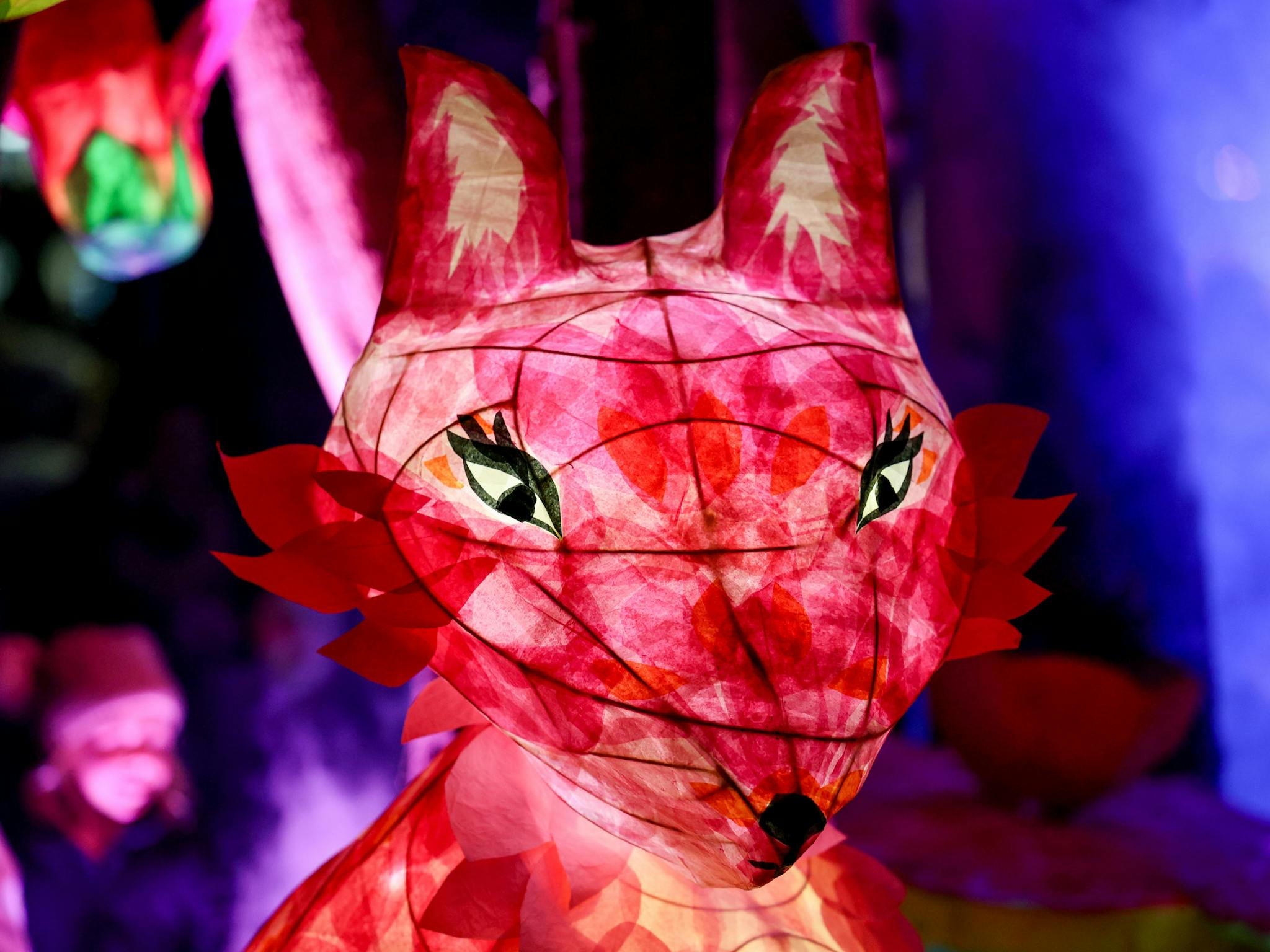 An illuminated blossom fox lantern at the Lakes Lights lantern display