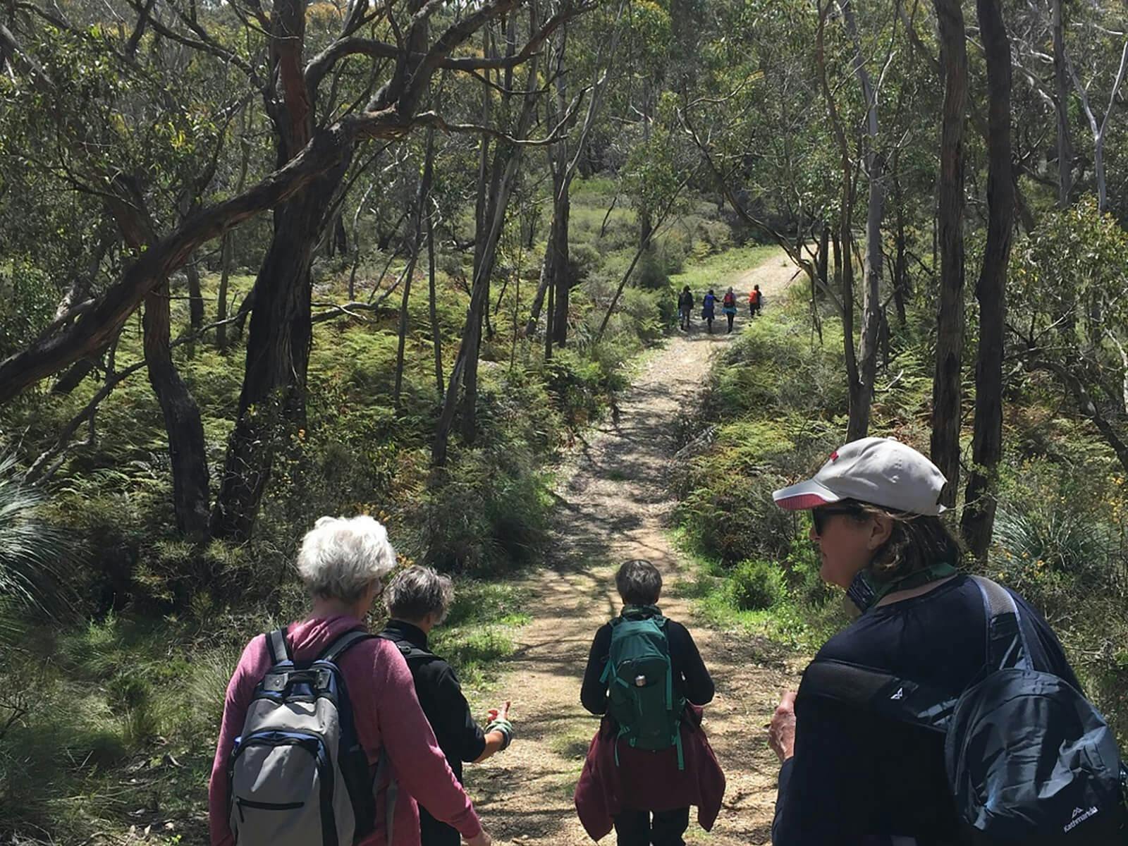 Fleurieu-Peninsula-walking-tour-for-women-bush-trail
