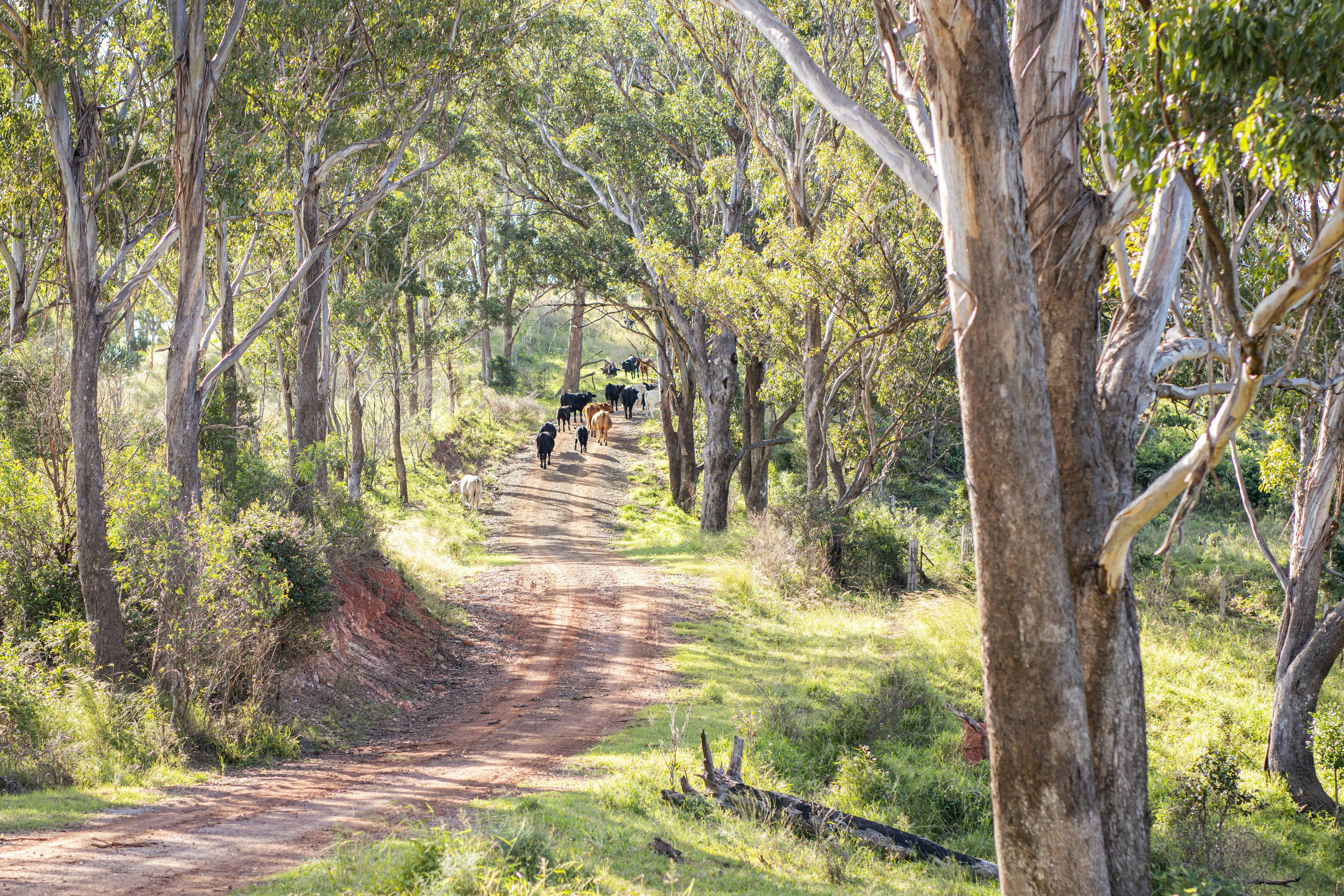 Enjoy a stroll  with the locals.