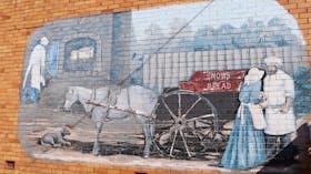 Alpha Murals