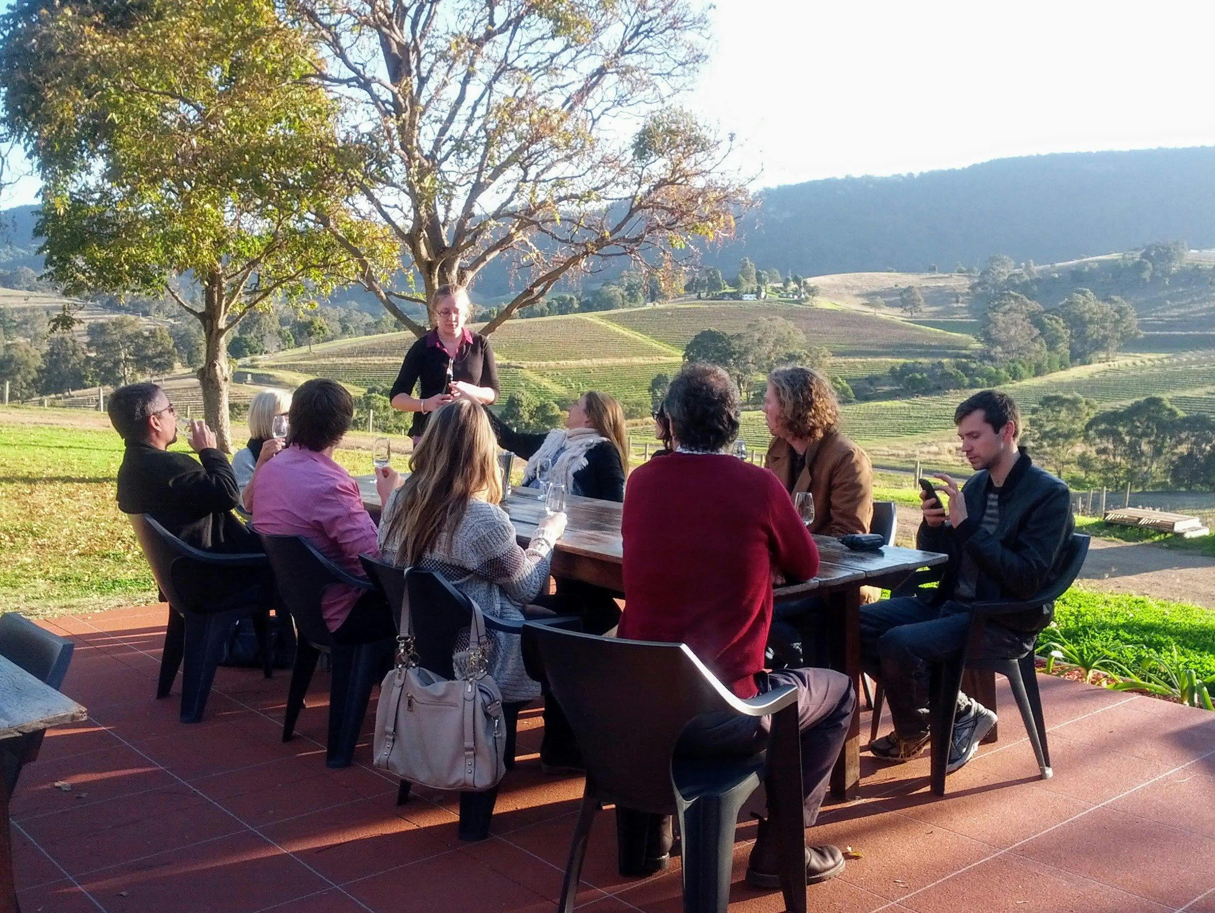 The Gourmet Wine Tour wine tasting at Mount View Estate.  The Brokenback Range in the background.