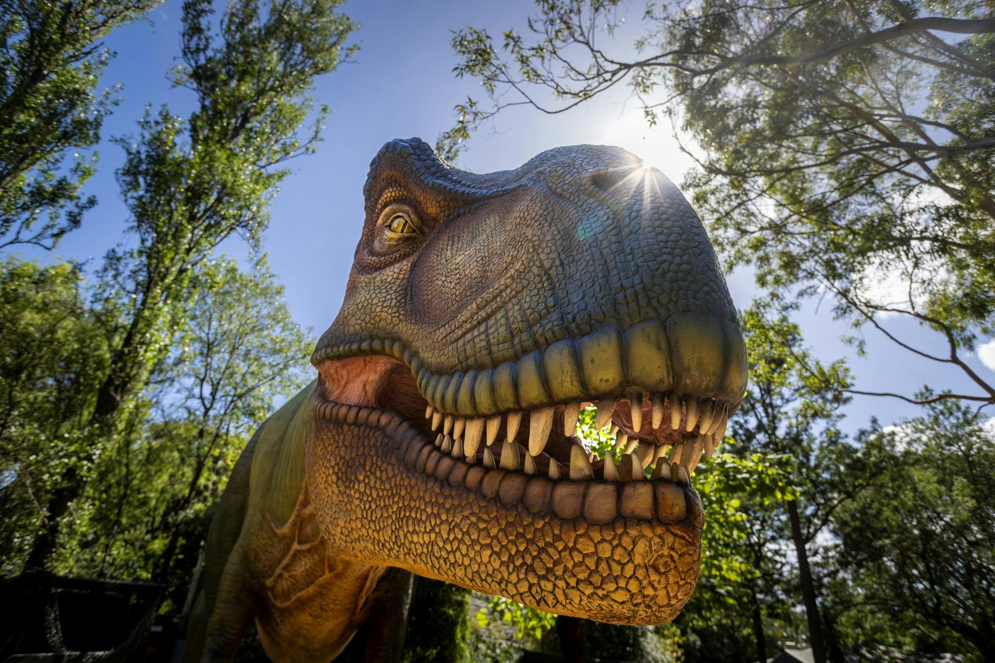 Dinos at the Zoo - Werribee Open Range Zoo