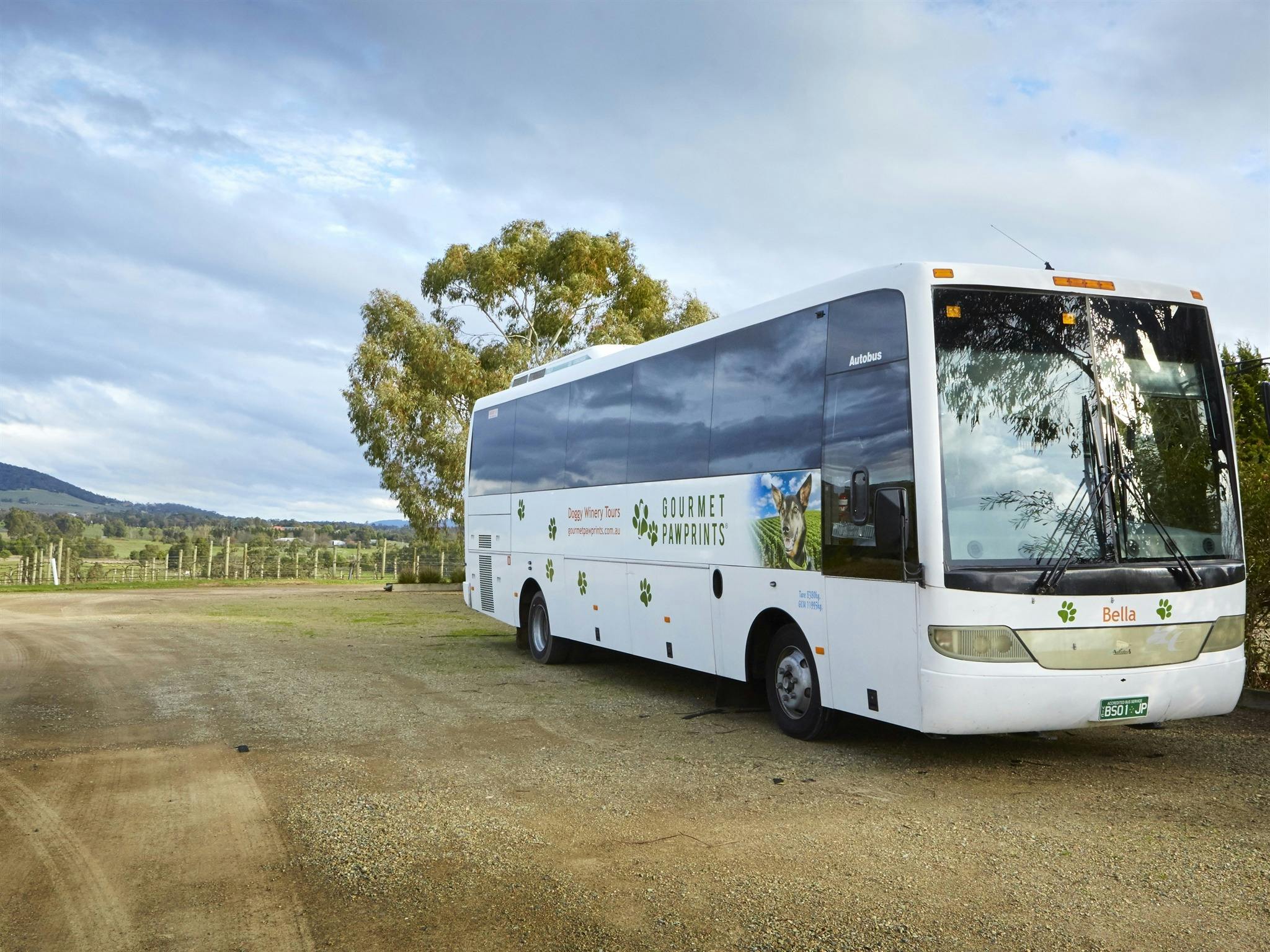 Bella The Dog Welcoming Bus