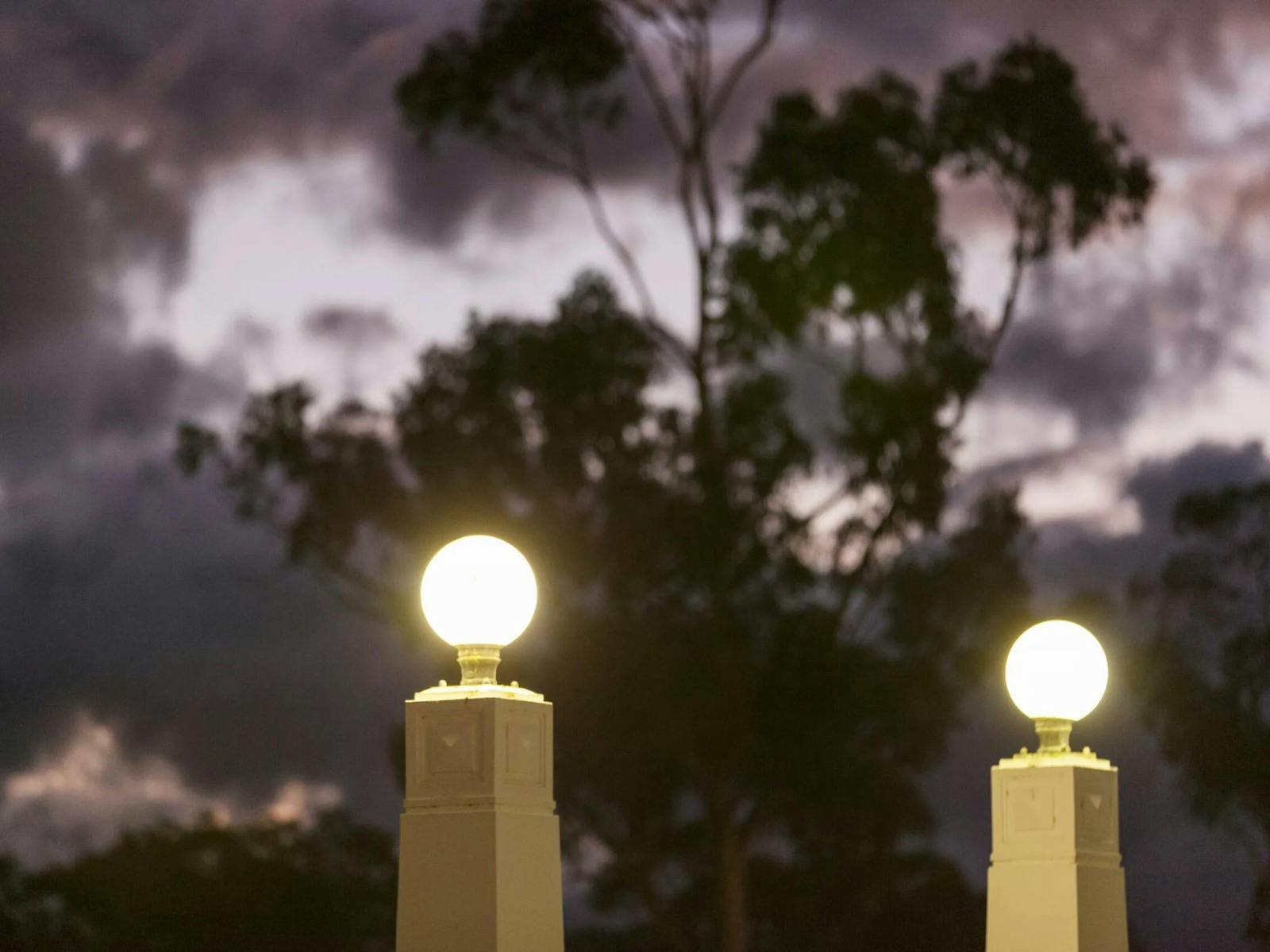 Light globes against a night sky