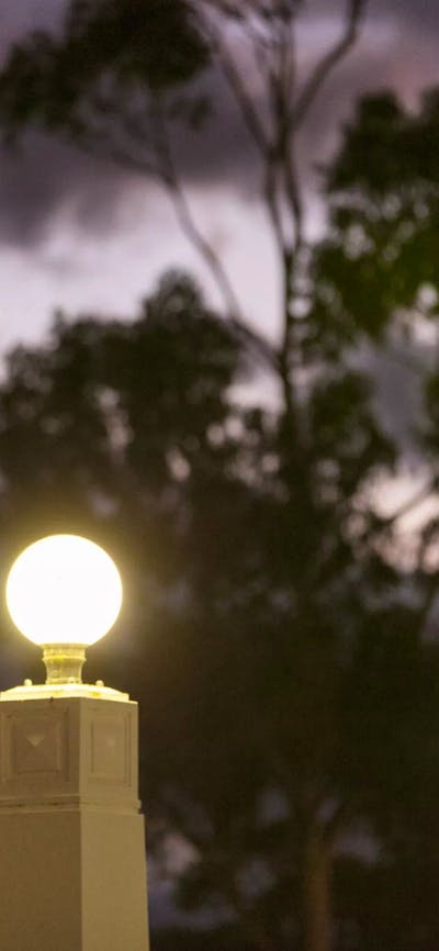 Light globes against a night sky