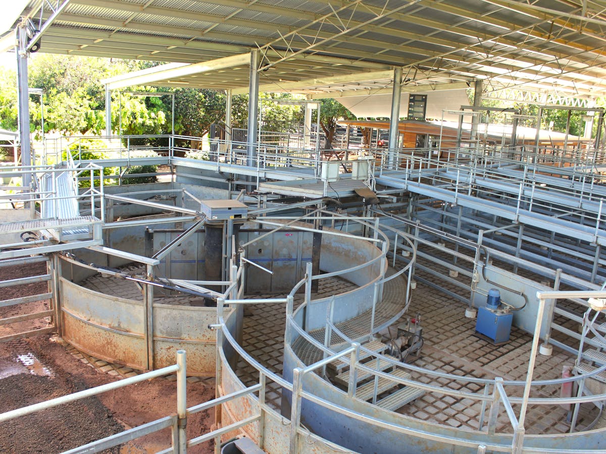 Drafting compound