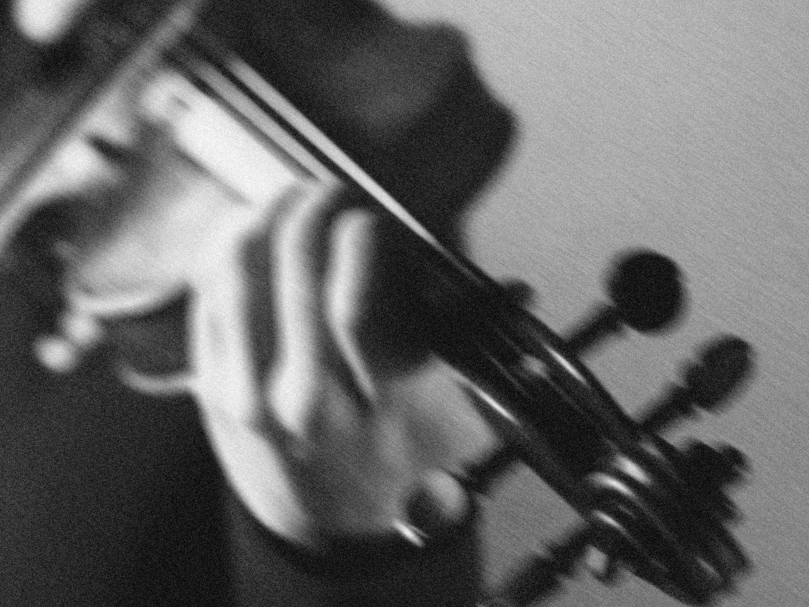 Matinée Series – Jubilation