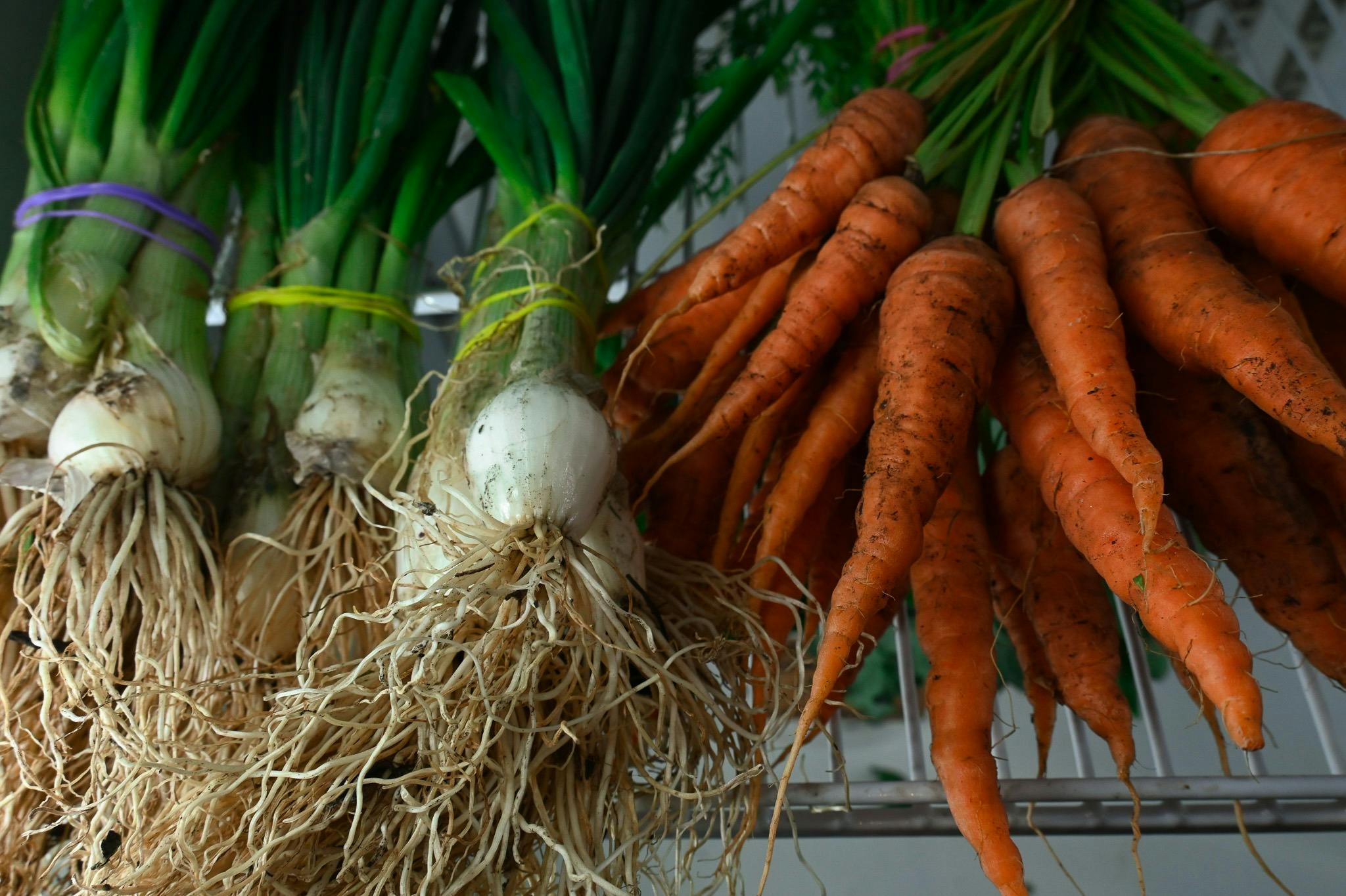 Fresh seasonal produce