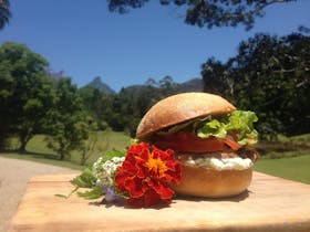 Taste the Tweed in Murwillumbah