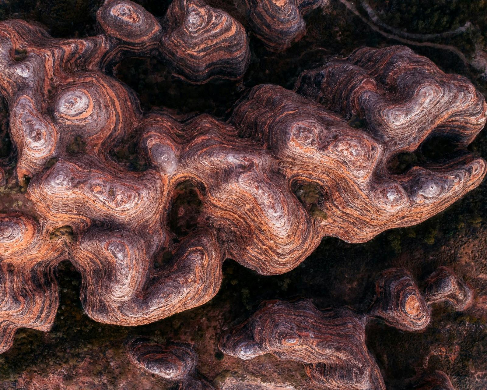The domes from above - close up