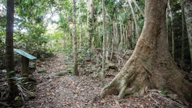 Cape Hillsborough National Park
