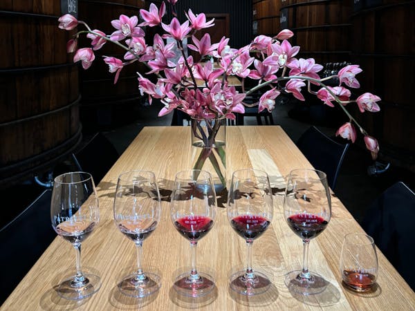 SummerVines: Tasting at Patritti