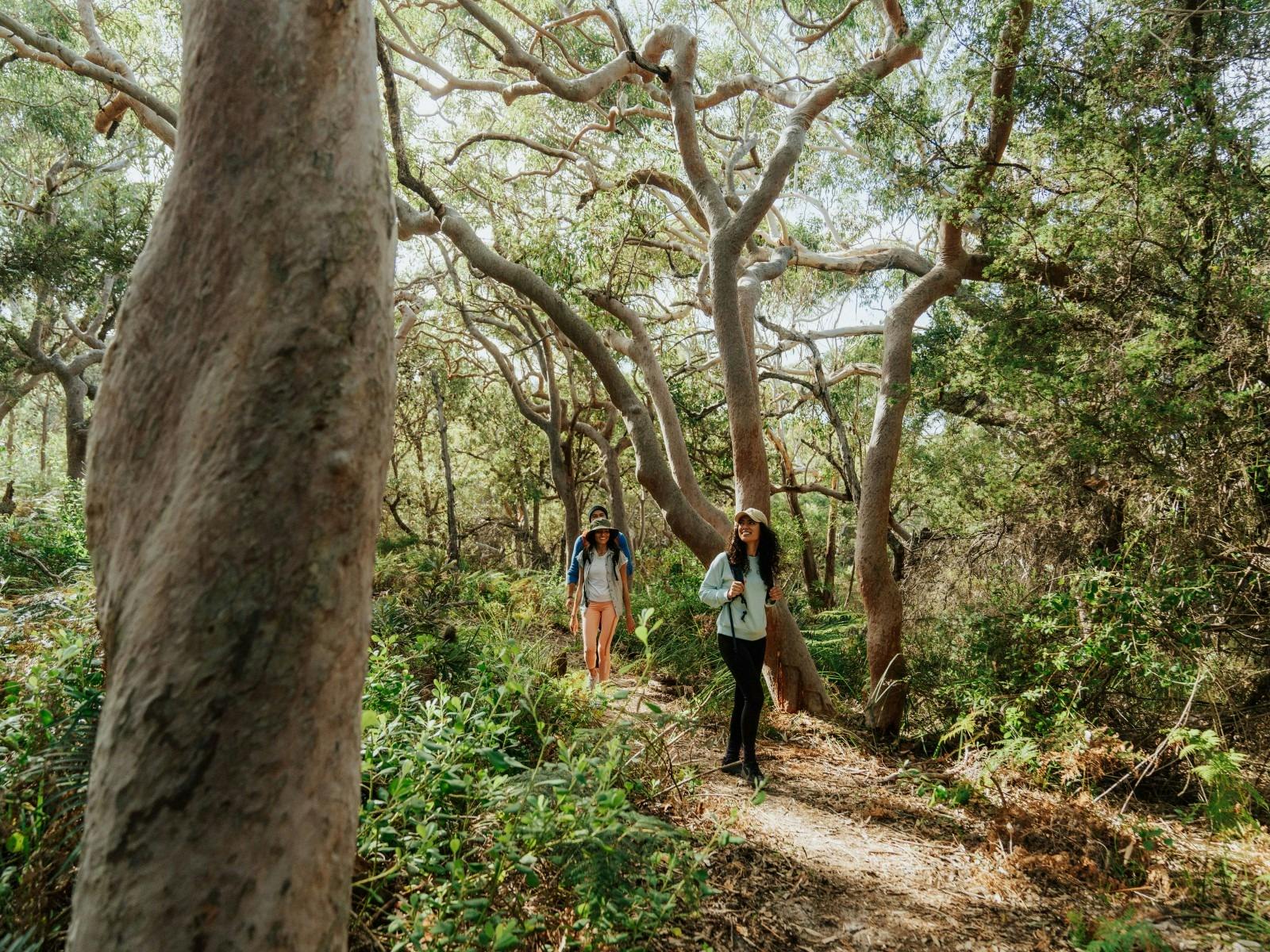 People walking in a forest near Fishermans Bay