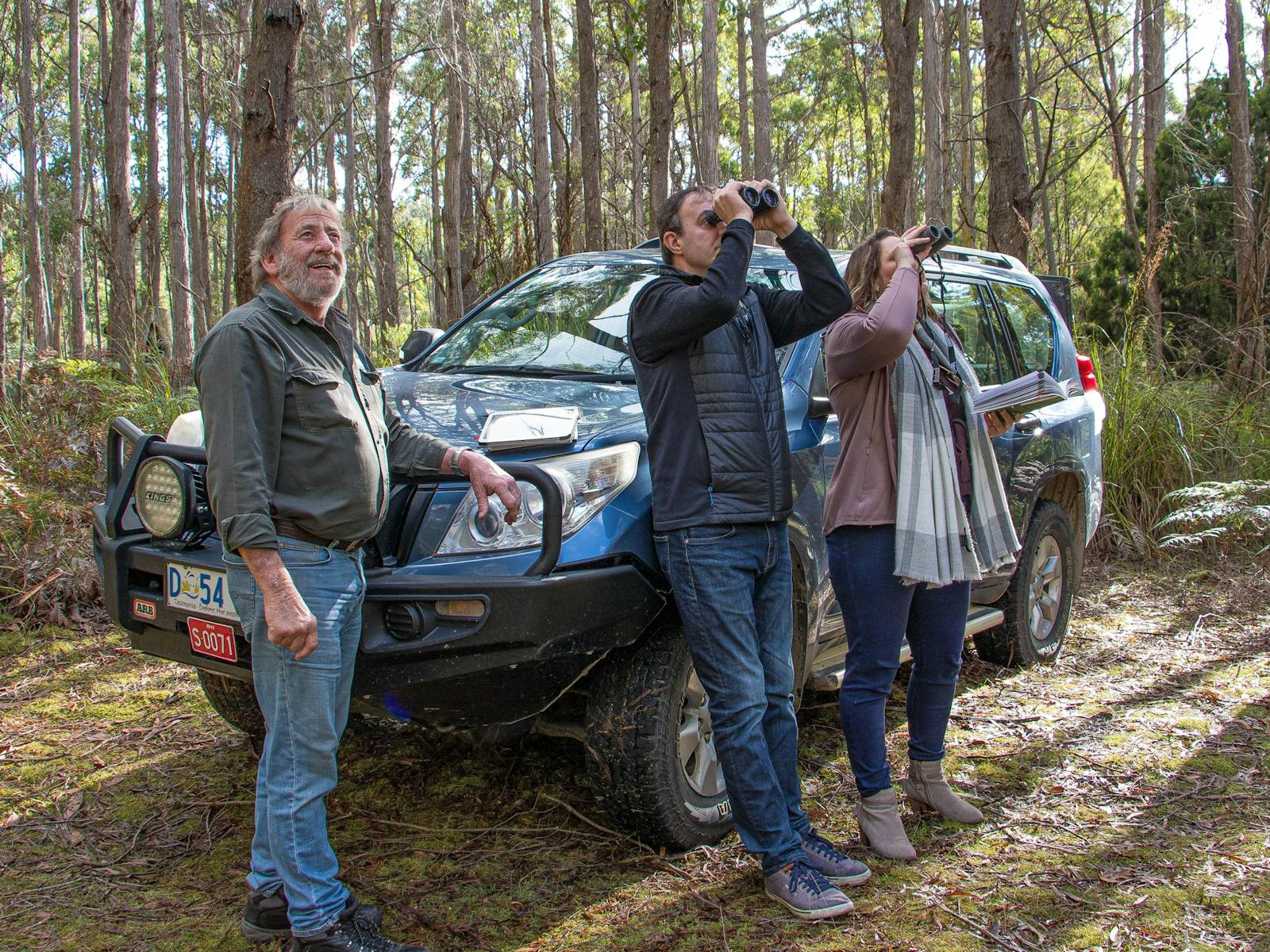 guide with two birders looking skyward