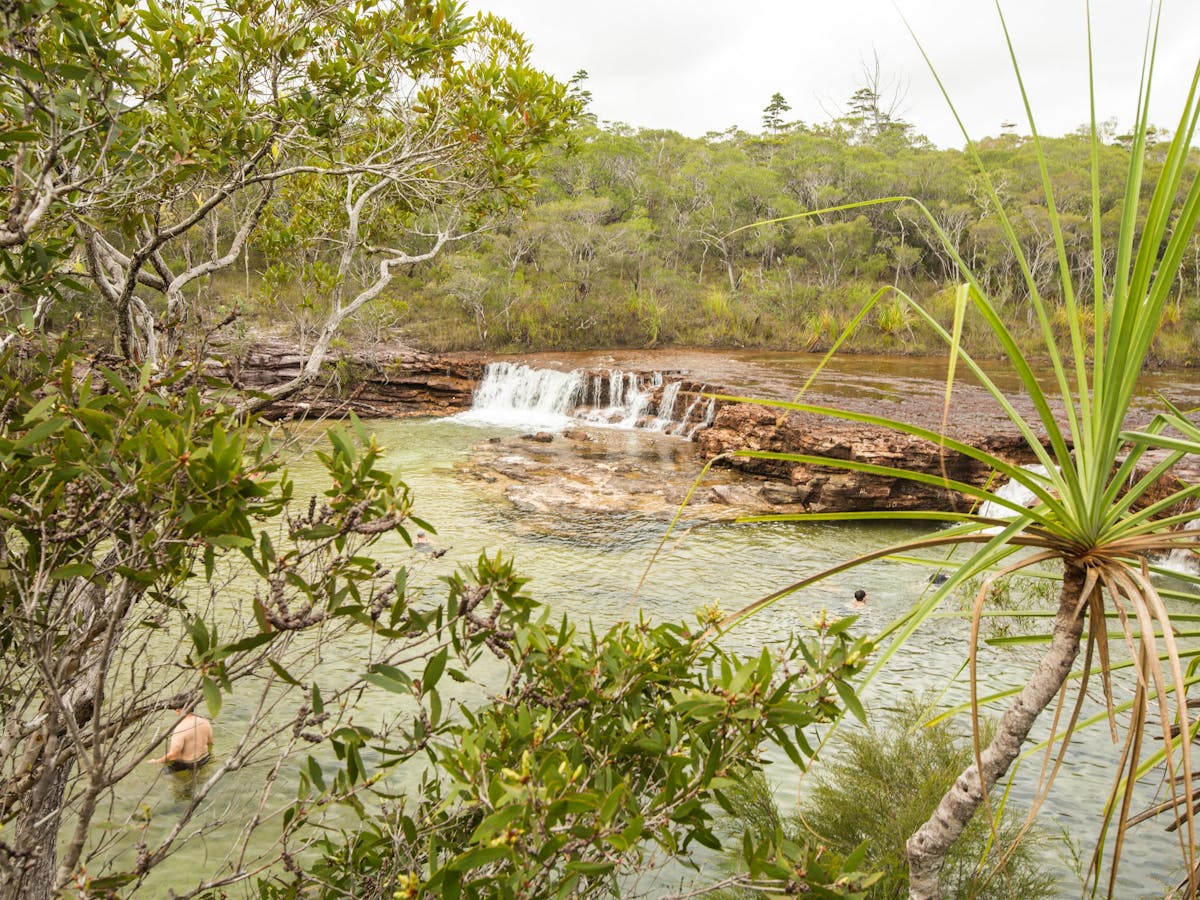Fruit Bat Falls Cape York