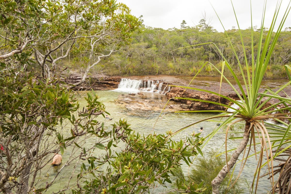 Fruit Bat Falls Cape York