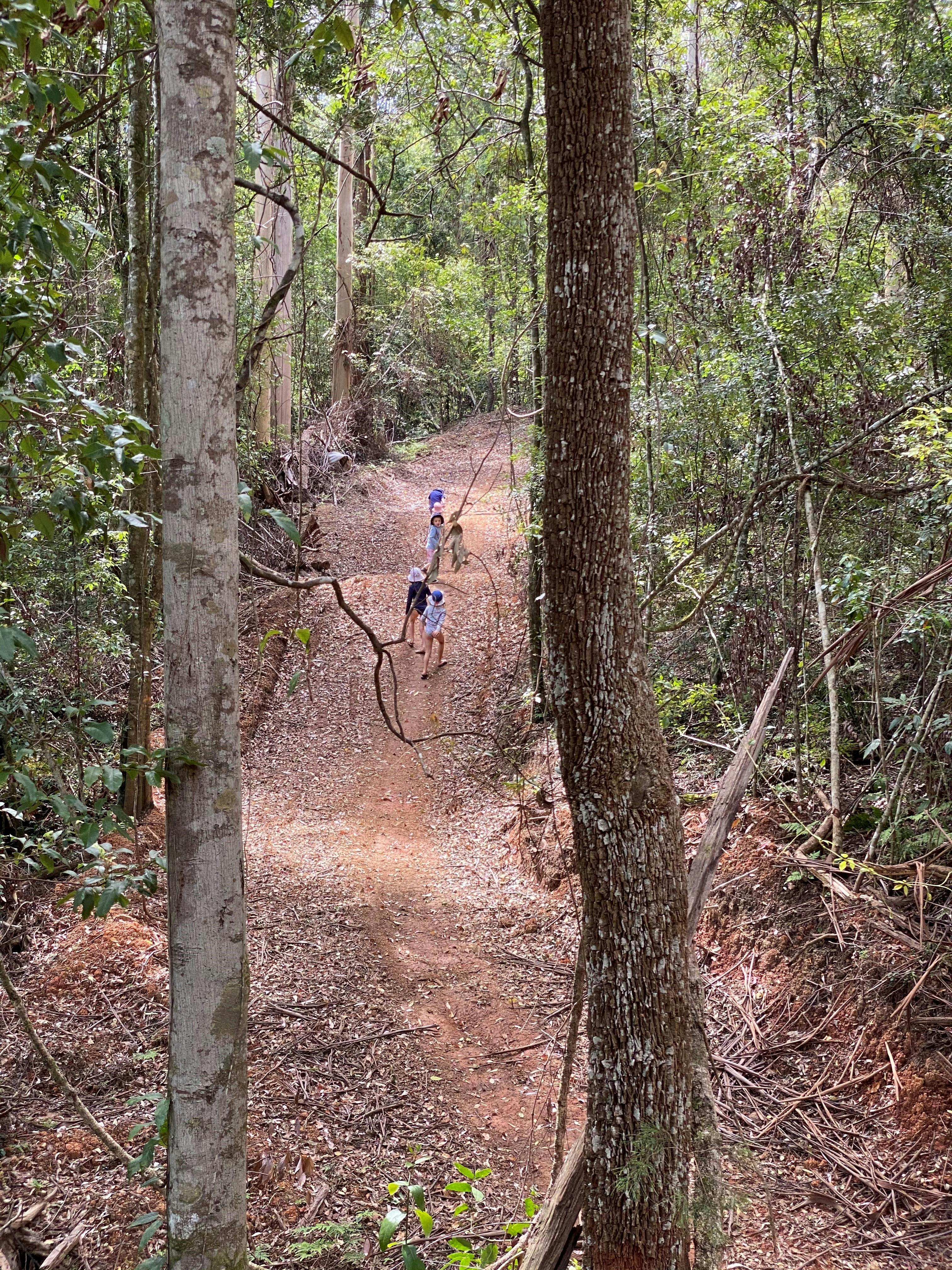 children walking on bush track