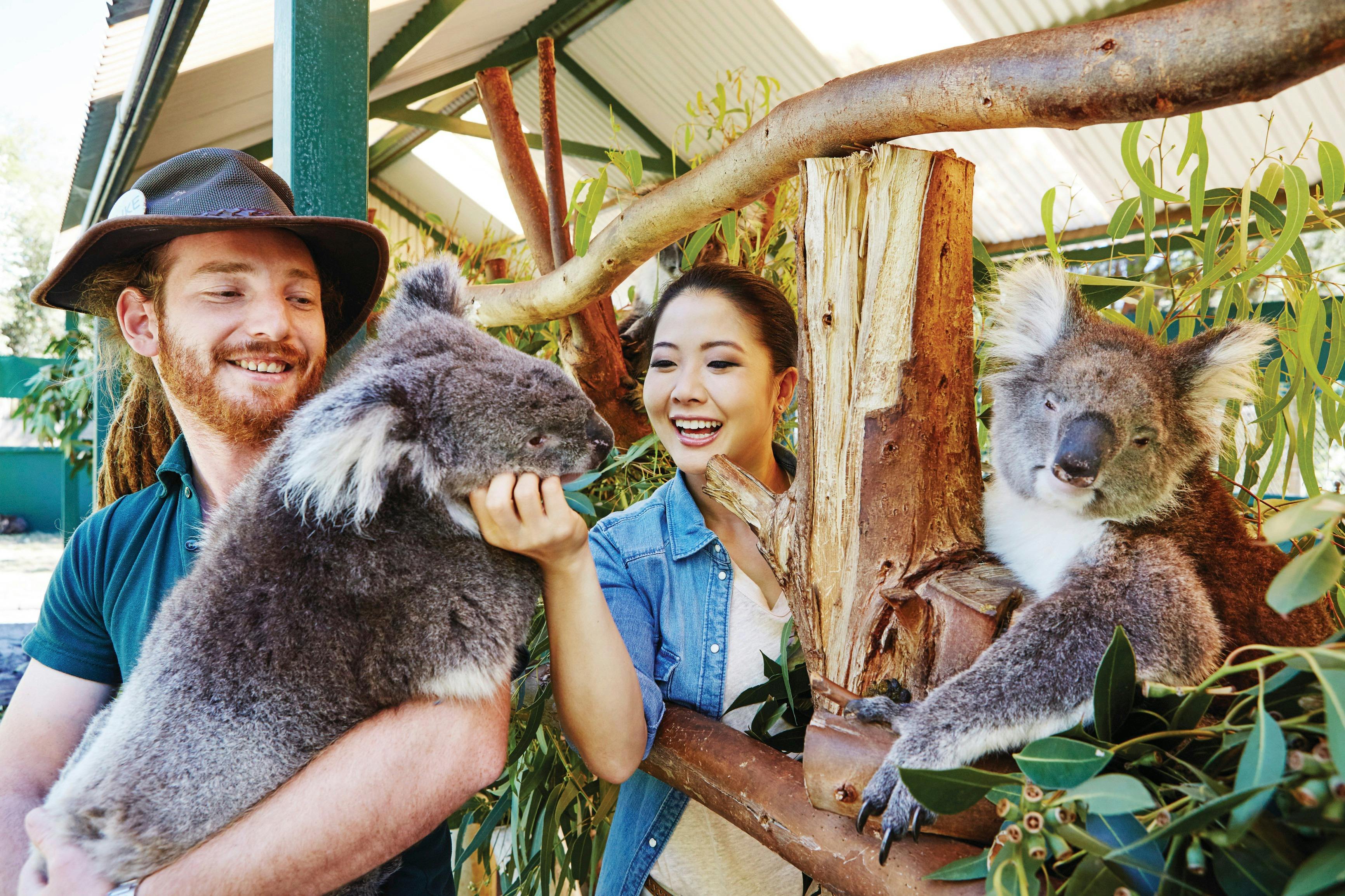 Aussie Perth Tours, Perth, Western Australia