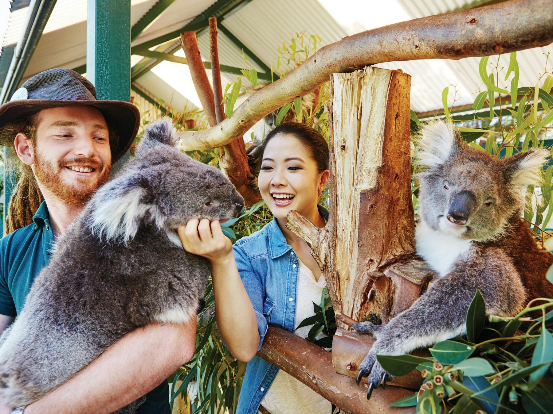 Aussie Perth Tours, Perth, Western Australia