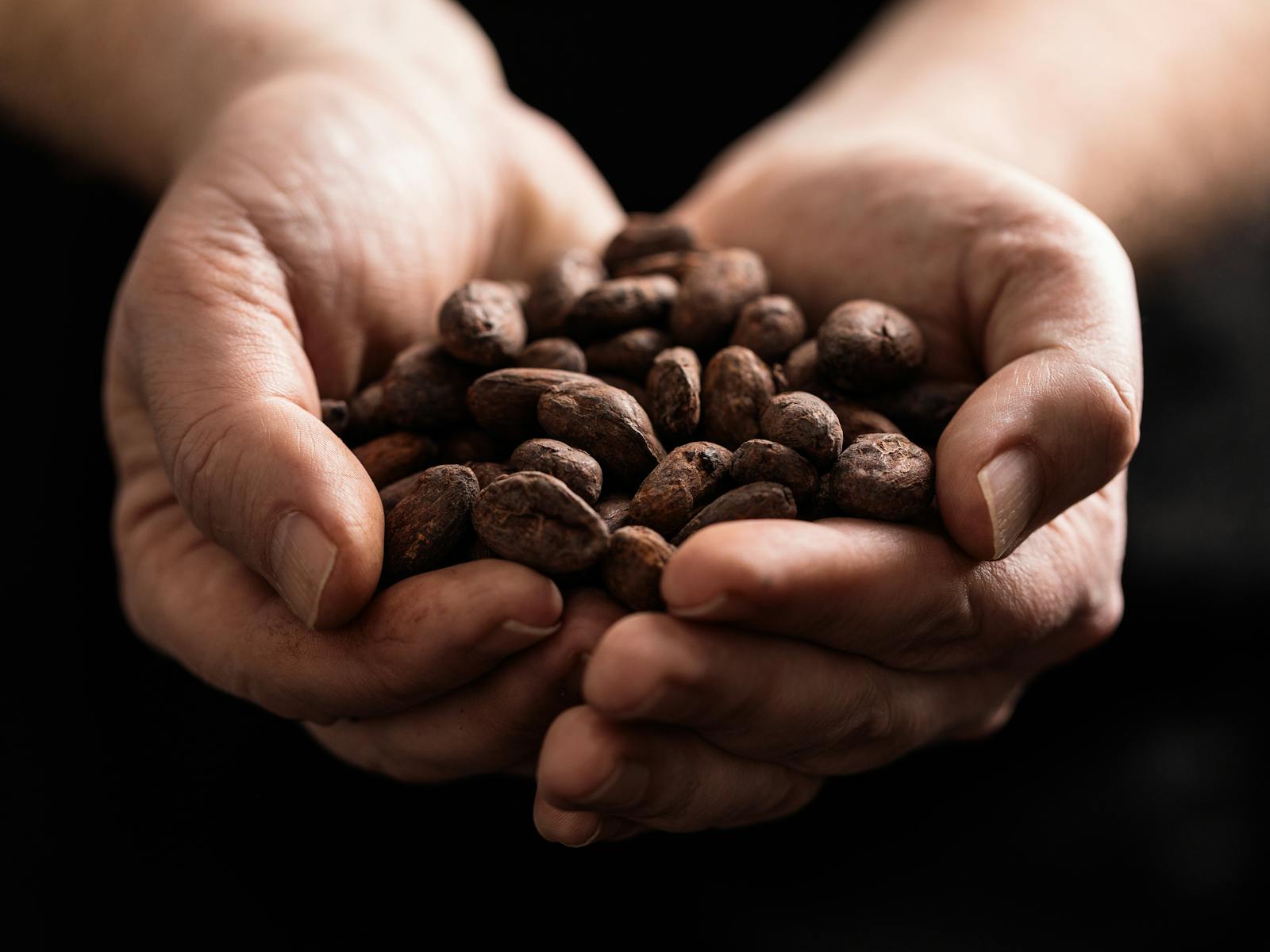 Federation Artisan Chocolate Cacao Beans are sourced directly to make bean to bar chocolate