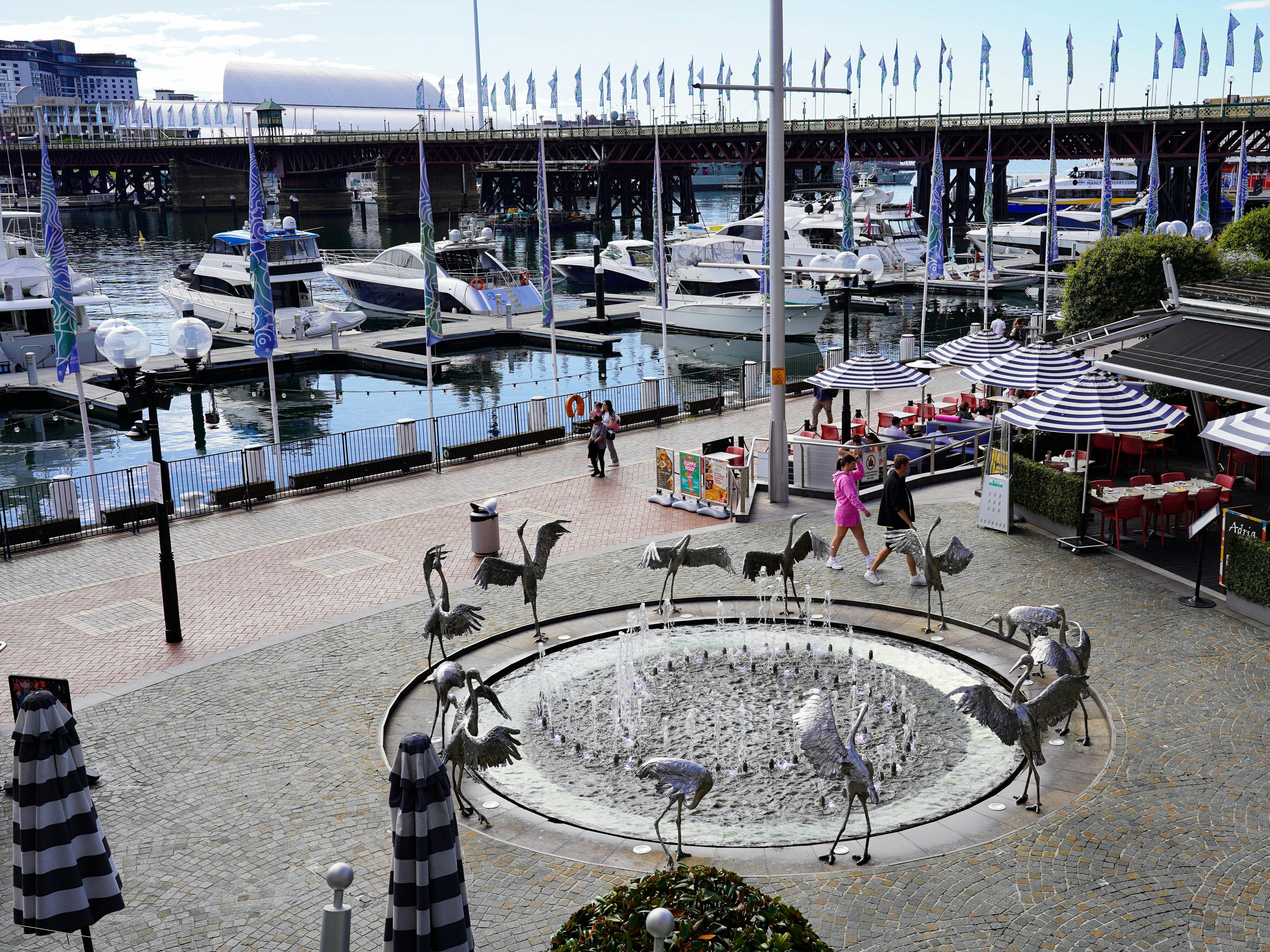 The from Blackbird Cafe