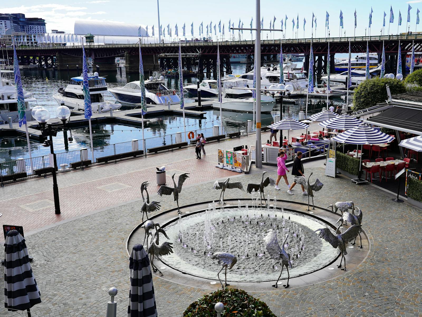 ブラックバードカフェより