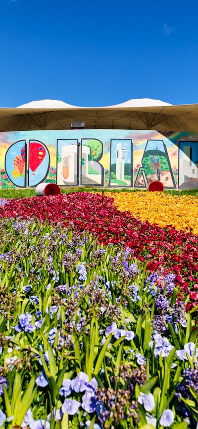 Floriade blooms in front of the iconic 'Floriade' mural