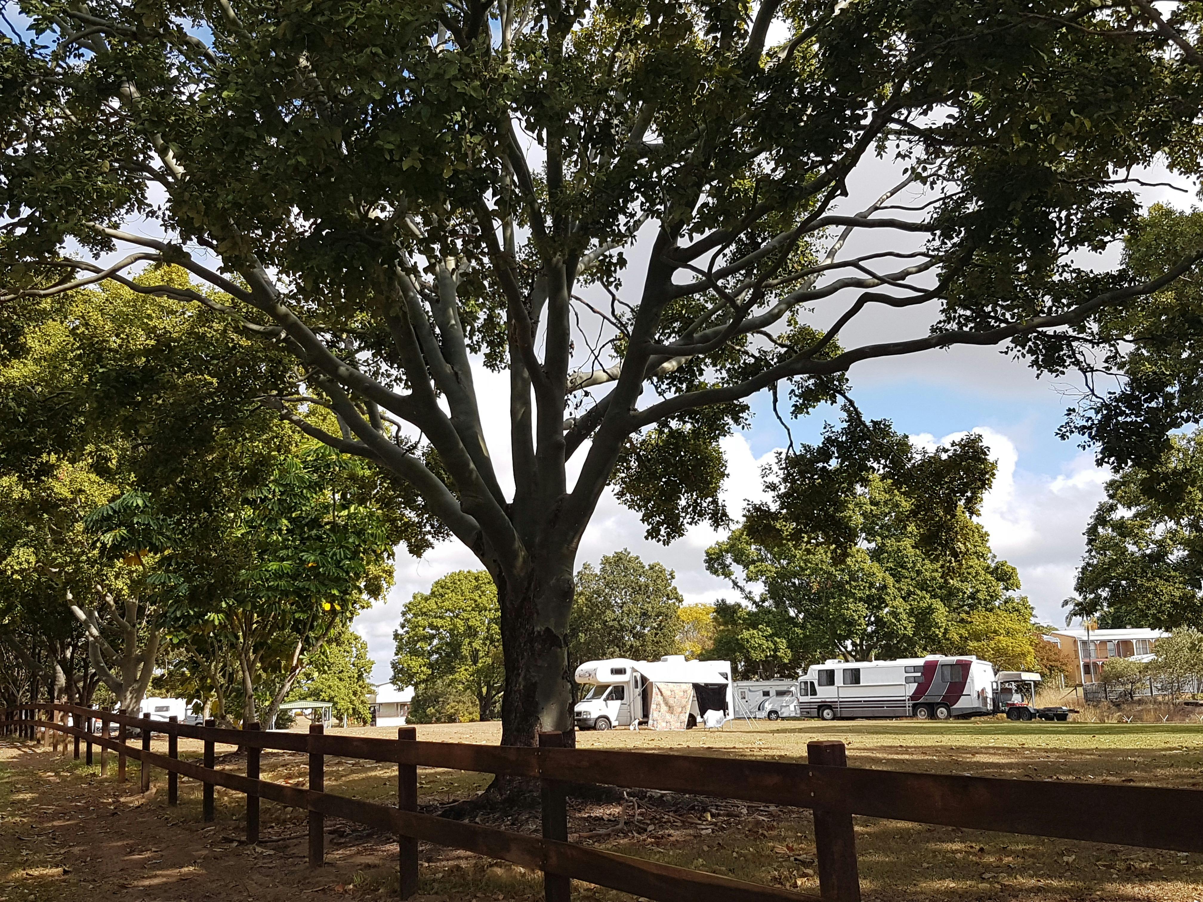 CMCA RV Park Bundaberg
