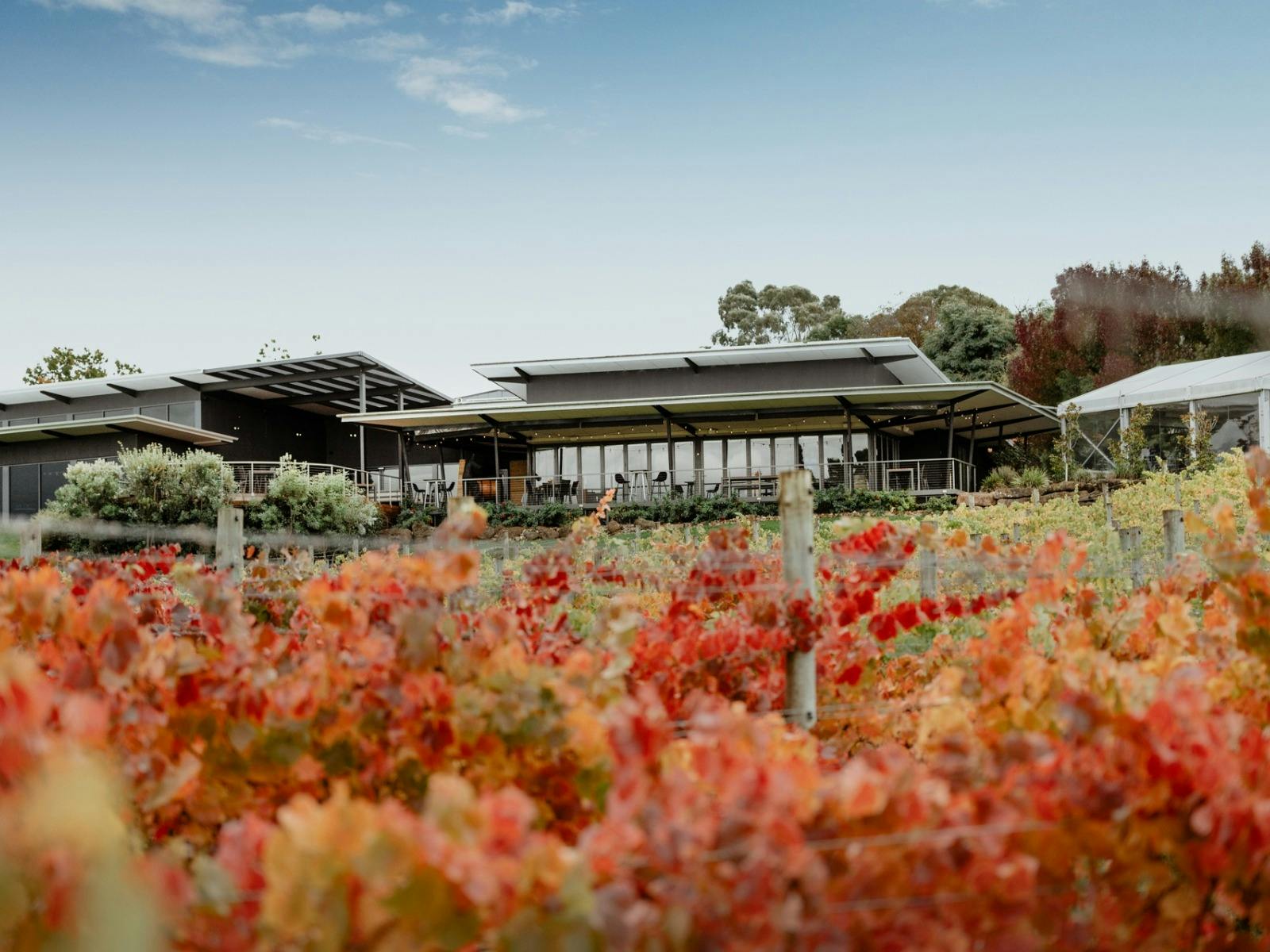 Autumn Harvest Package