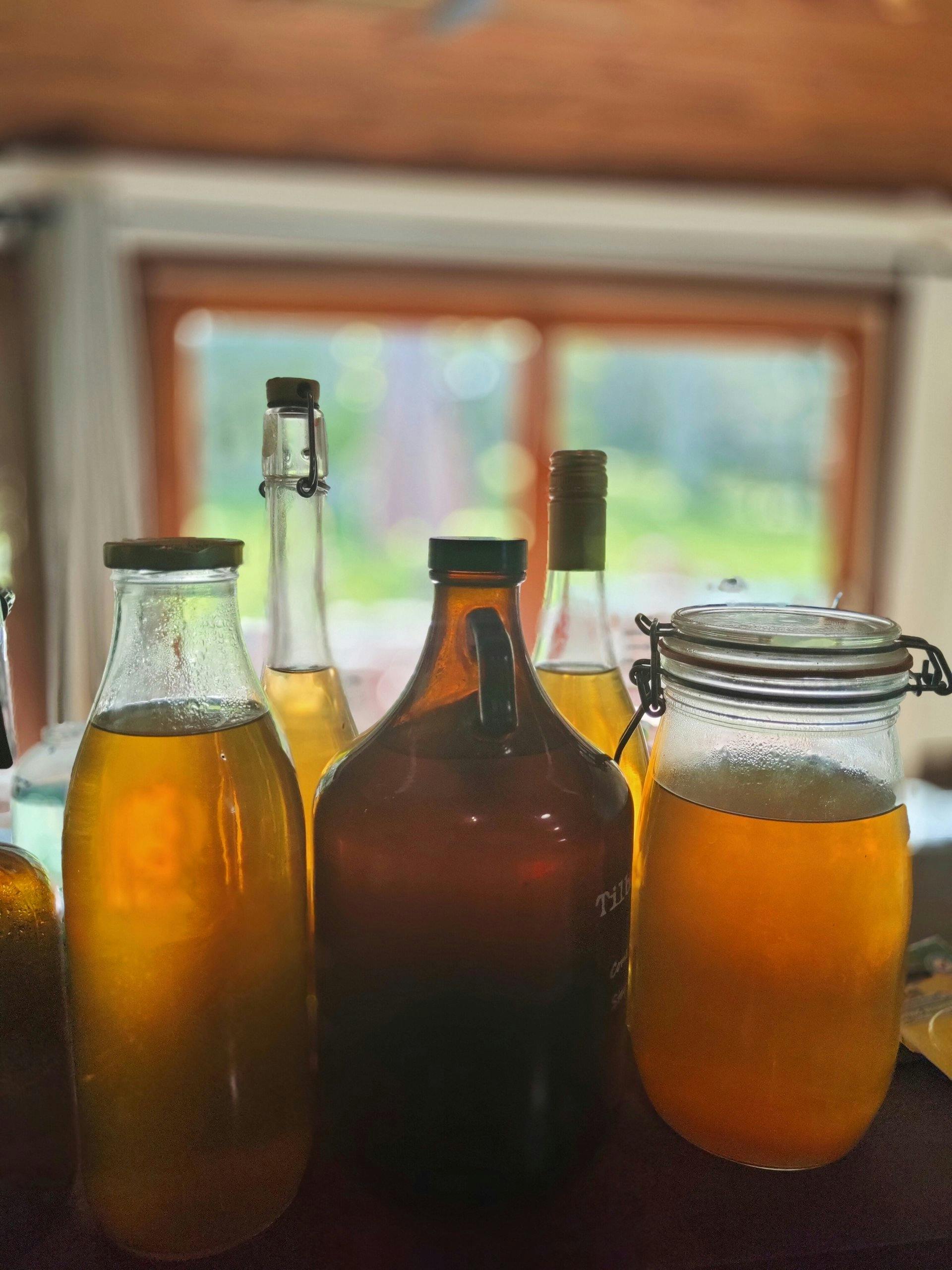 Kombucha making
