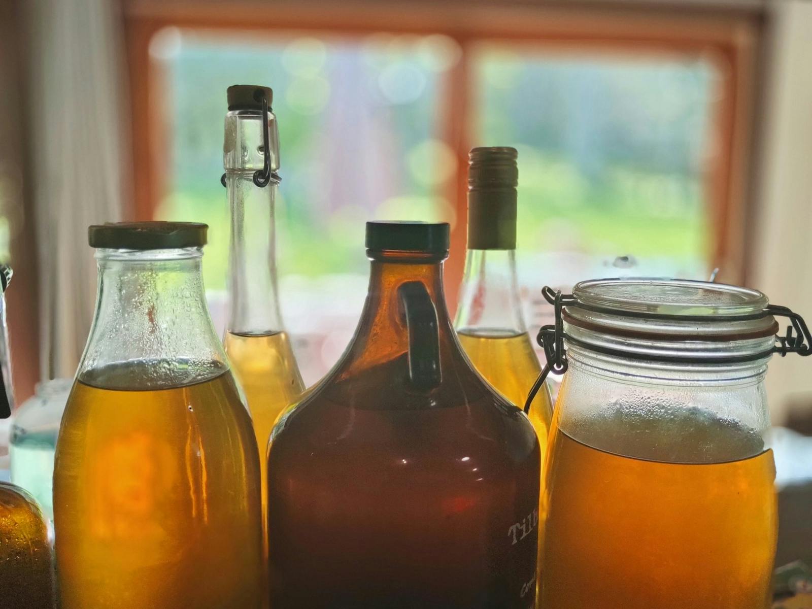 Kombucha making