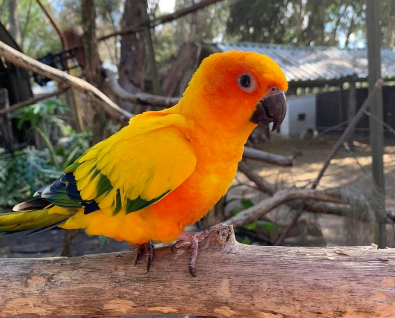 Ranger Red's Zoo & Conservation Park