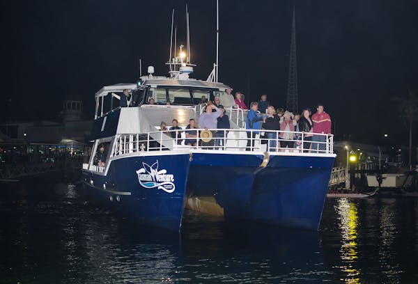 Hervey Bay Whale Festival - Blessing of the Fleet