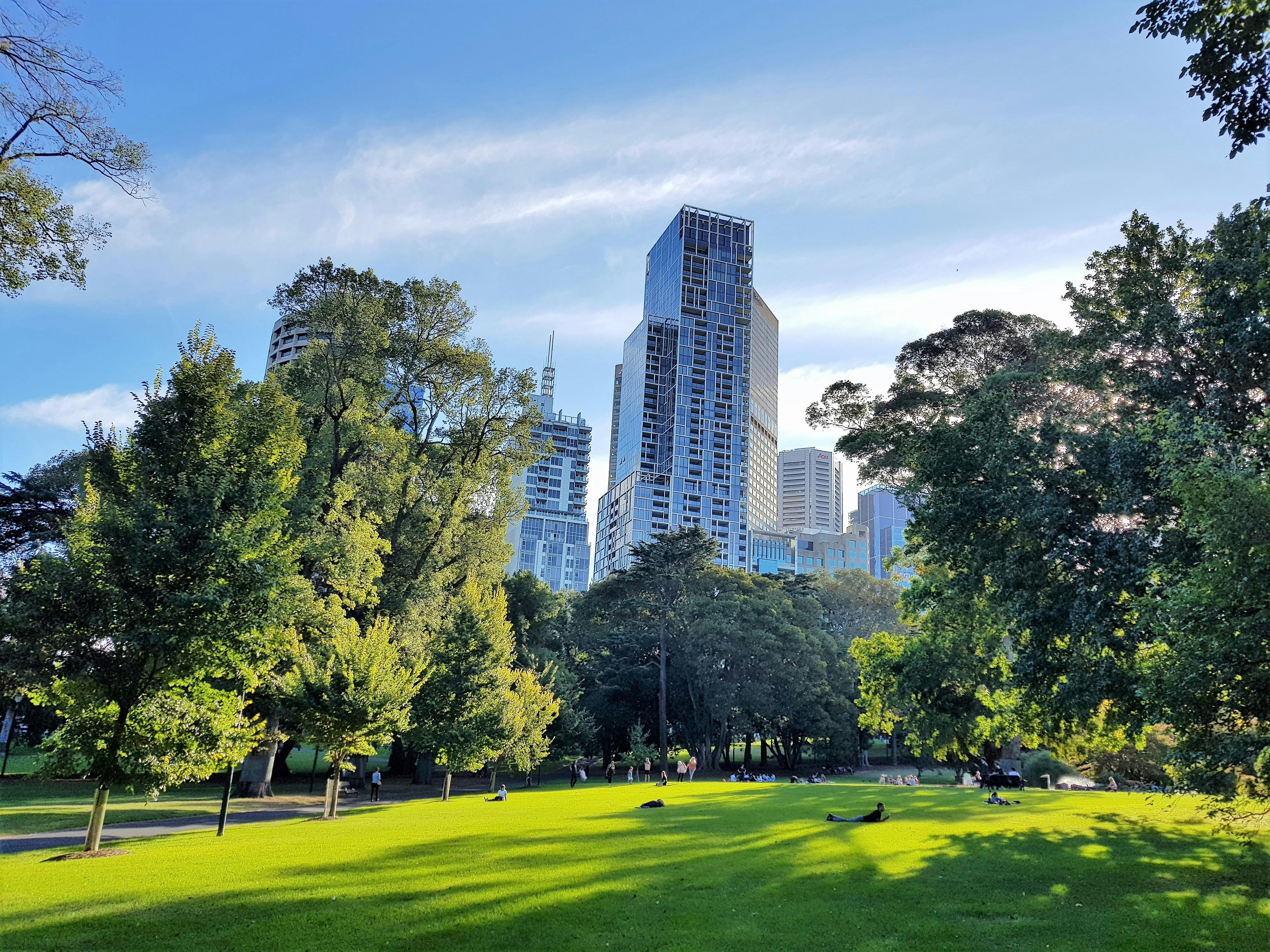 Park view into City