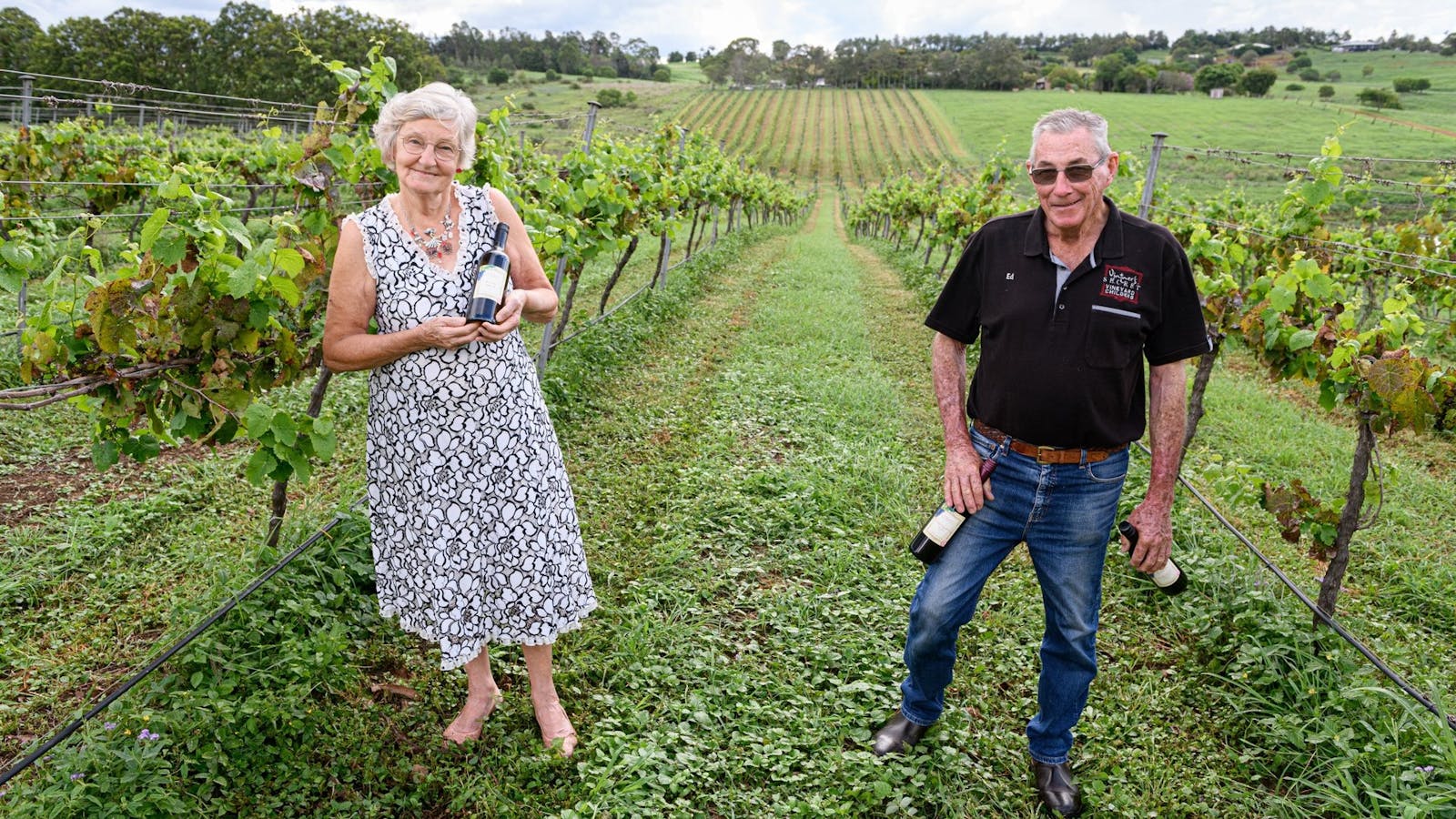Vitners Secret Winery Vitners Secret Winery