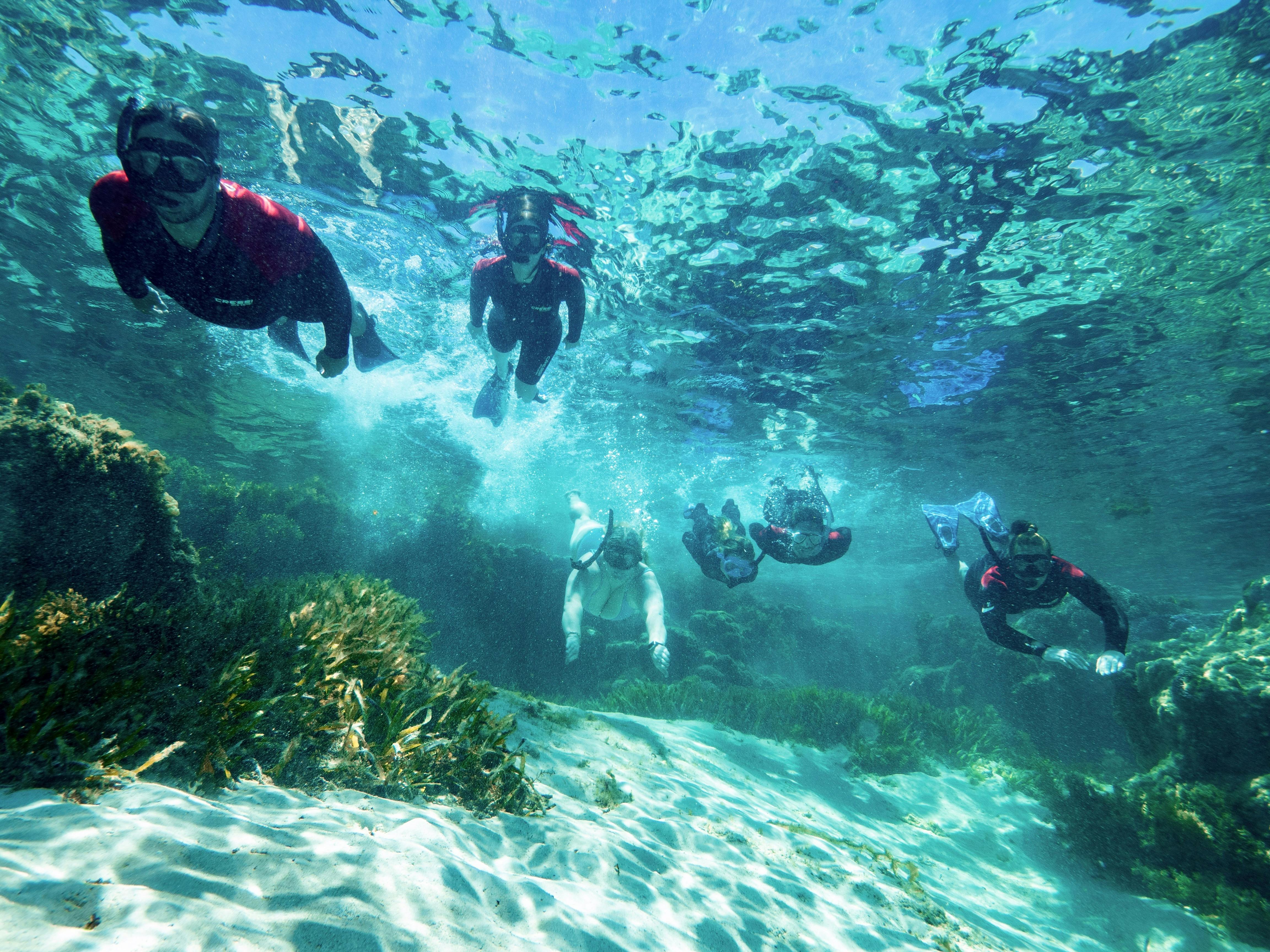 RS1