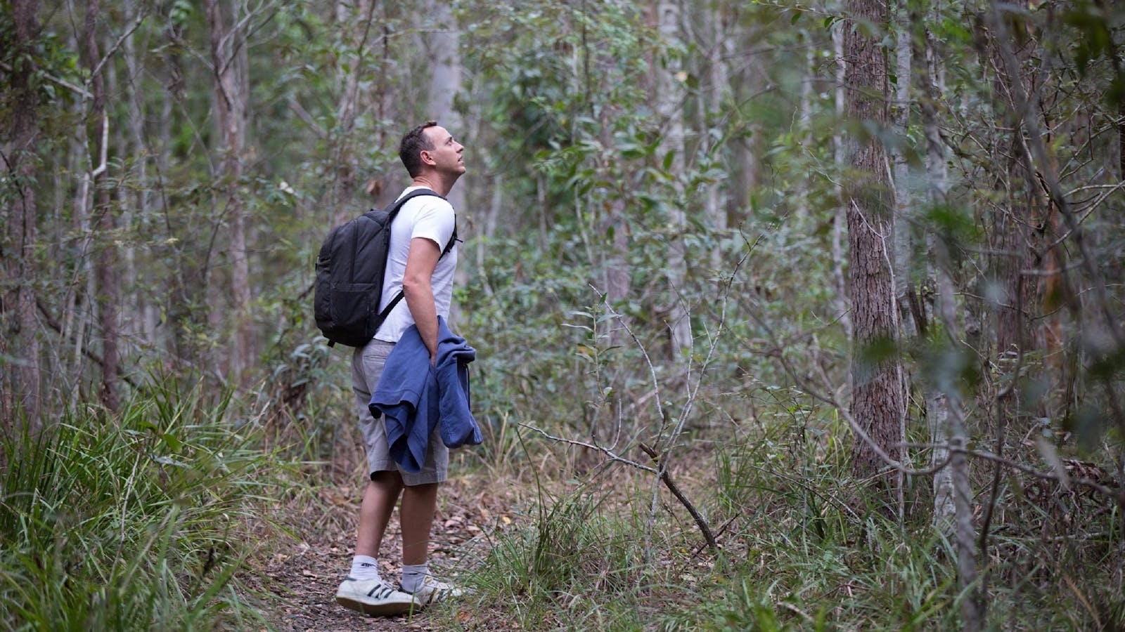 Sheepstation Creek Conservation Park