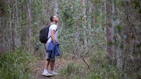 Sheep_Station_Creek_Park_hiking_caboolture_moreton_bay_region