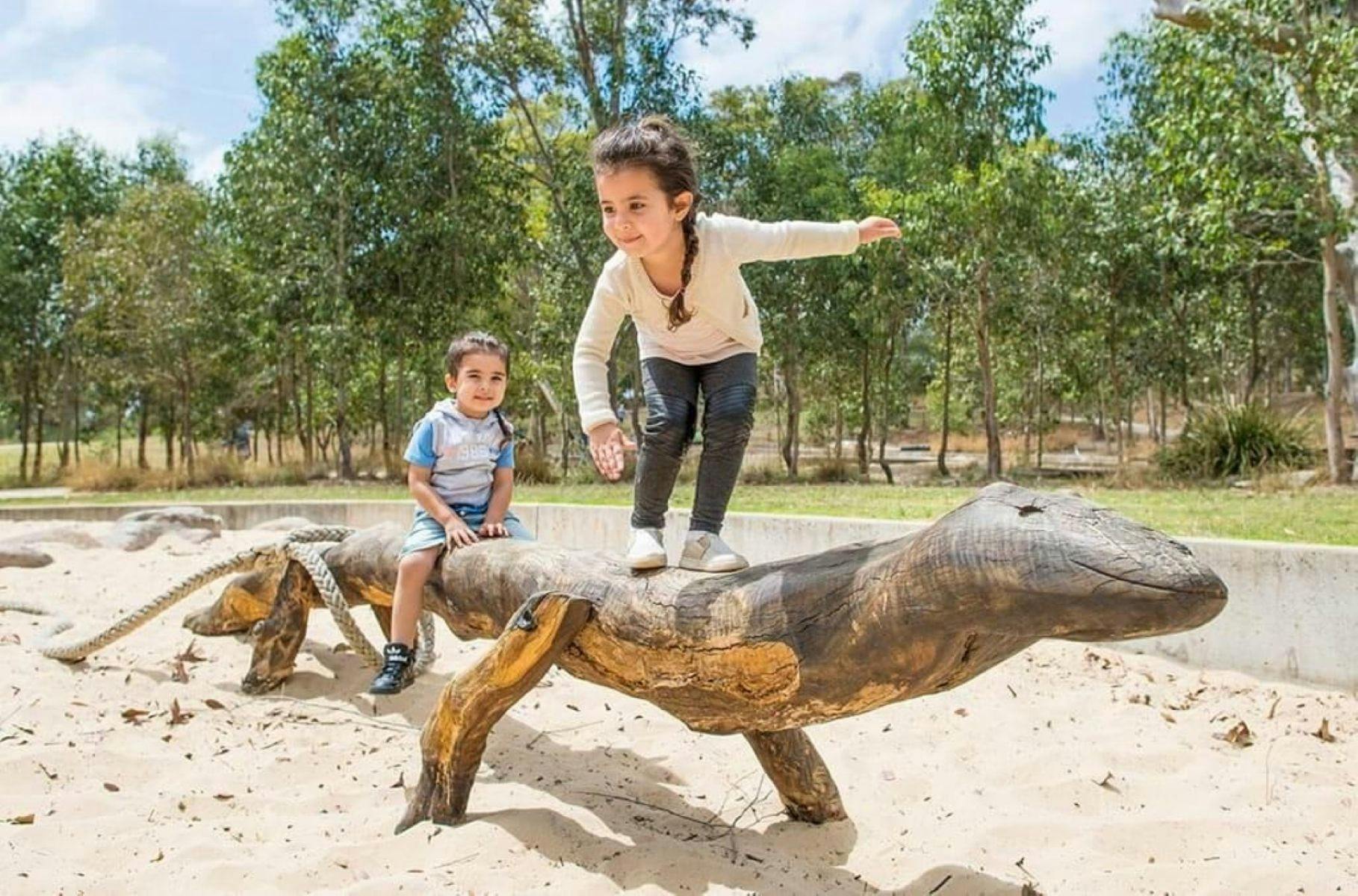 Lizard log playground