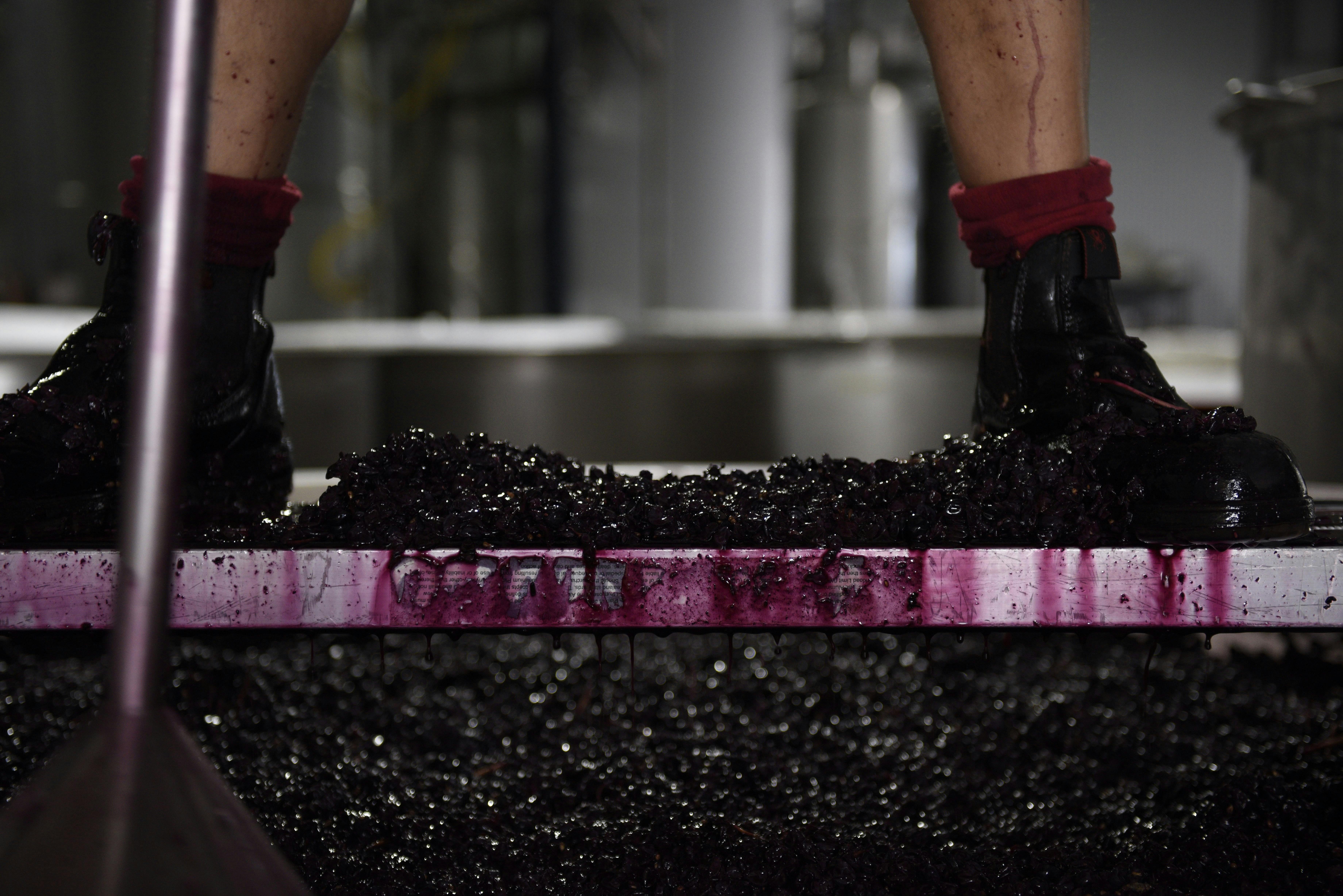Grape crushing