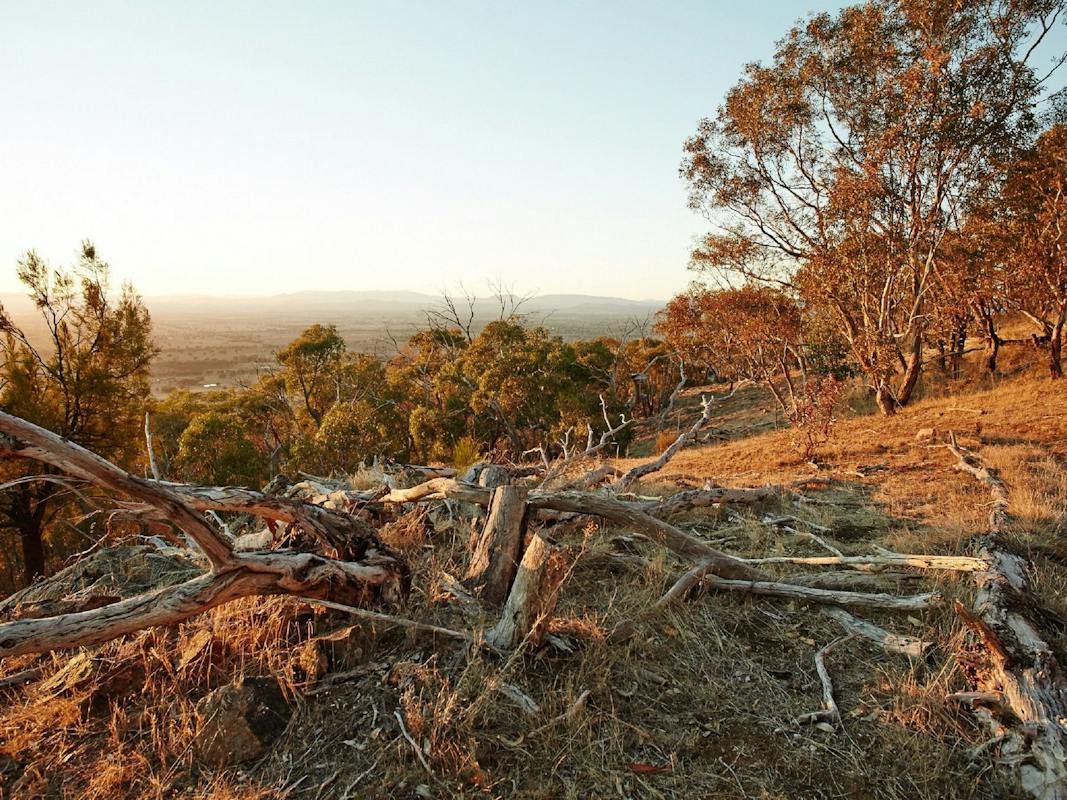 View from Warby Ovens National Park