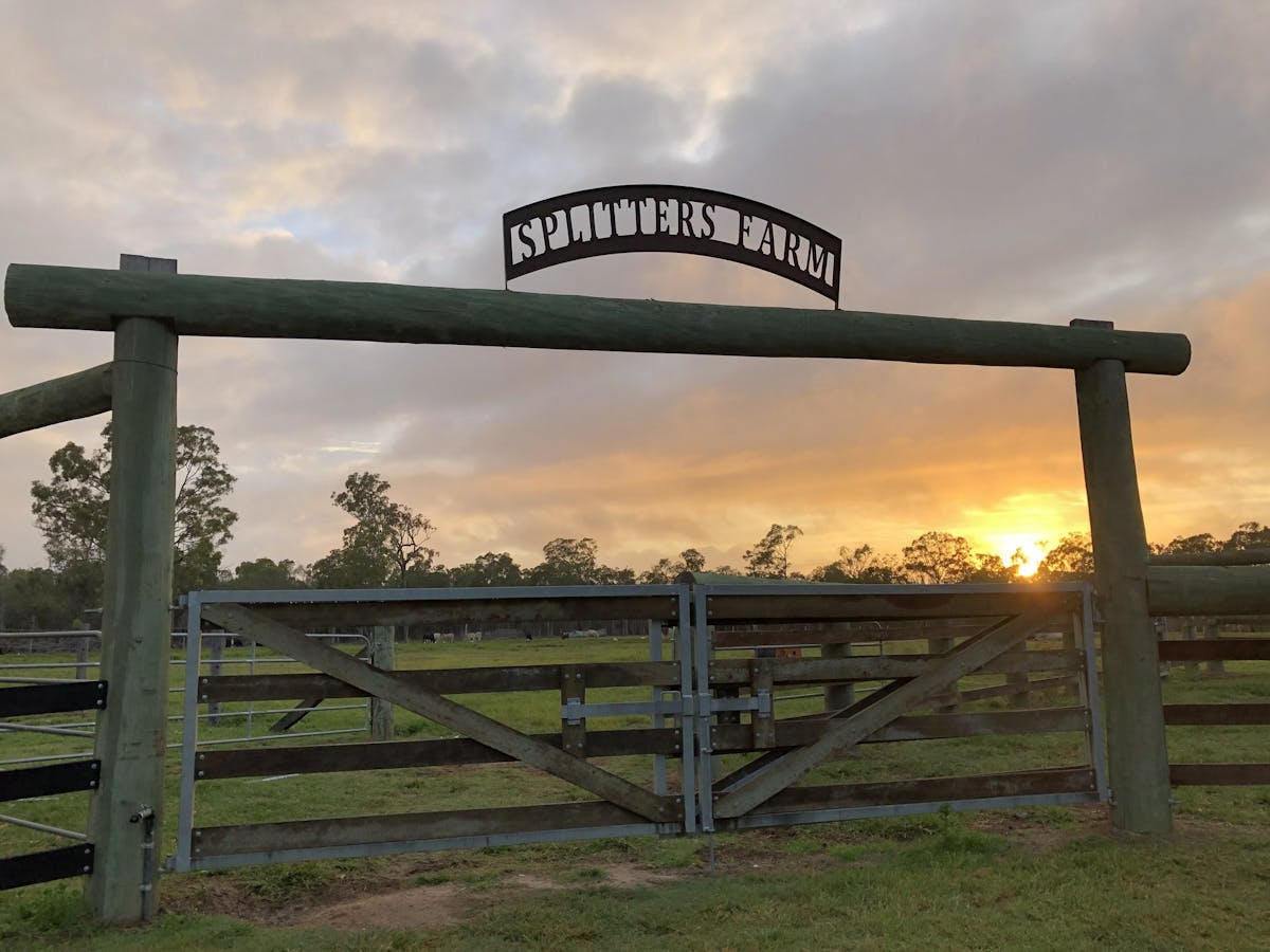 Cattle Yards