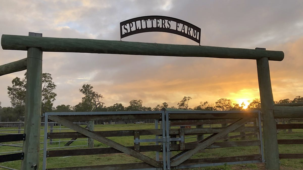Cattle Yards