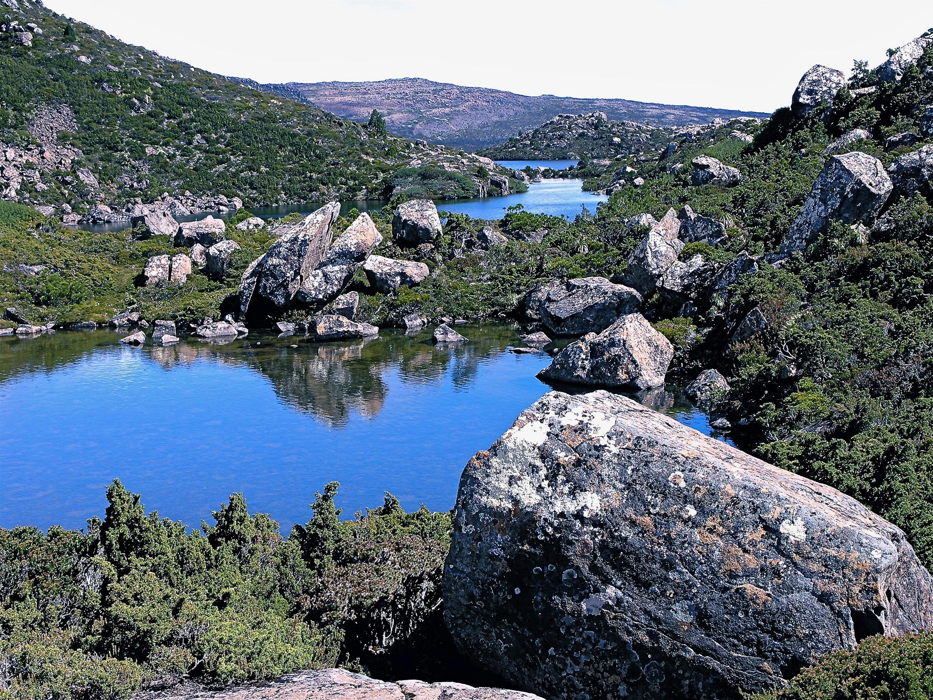Tarn Shelf Mount Field