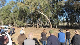 Savernake Station Driving Tours