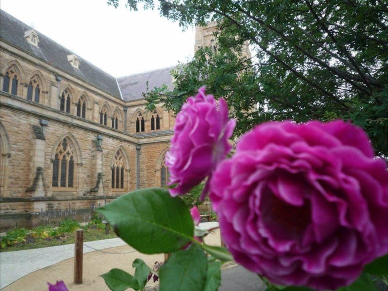 Image of the event '26th Annual Goulburn Rose Festival'