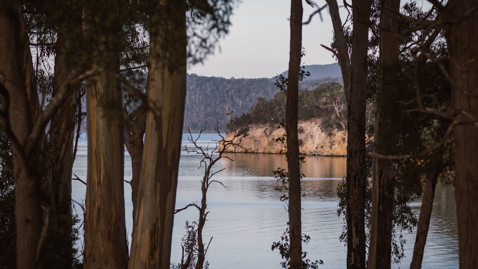 The bay behind Koonya Hall