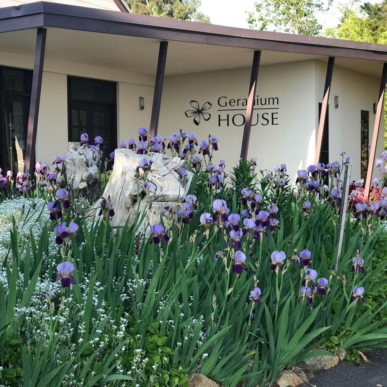 Image for Geranium House