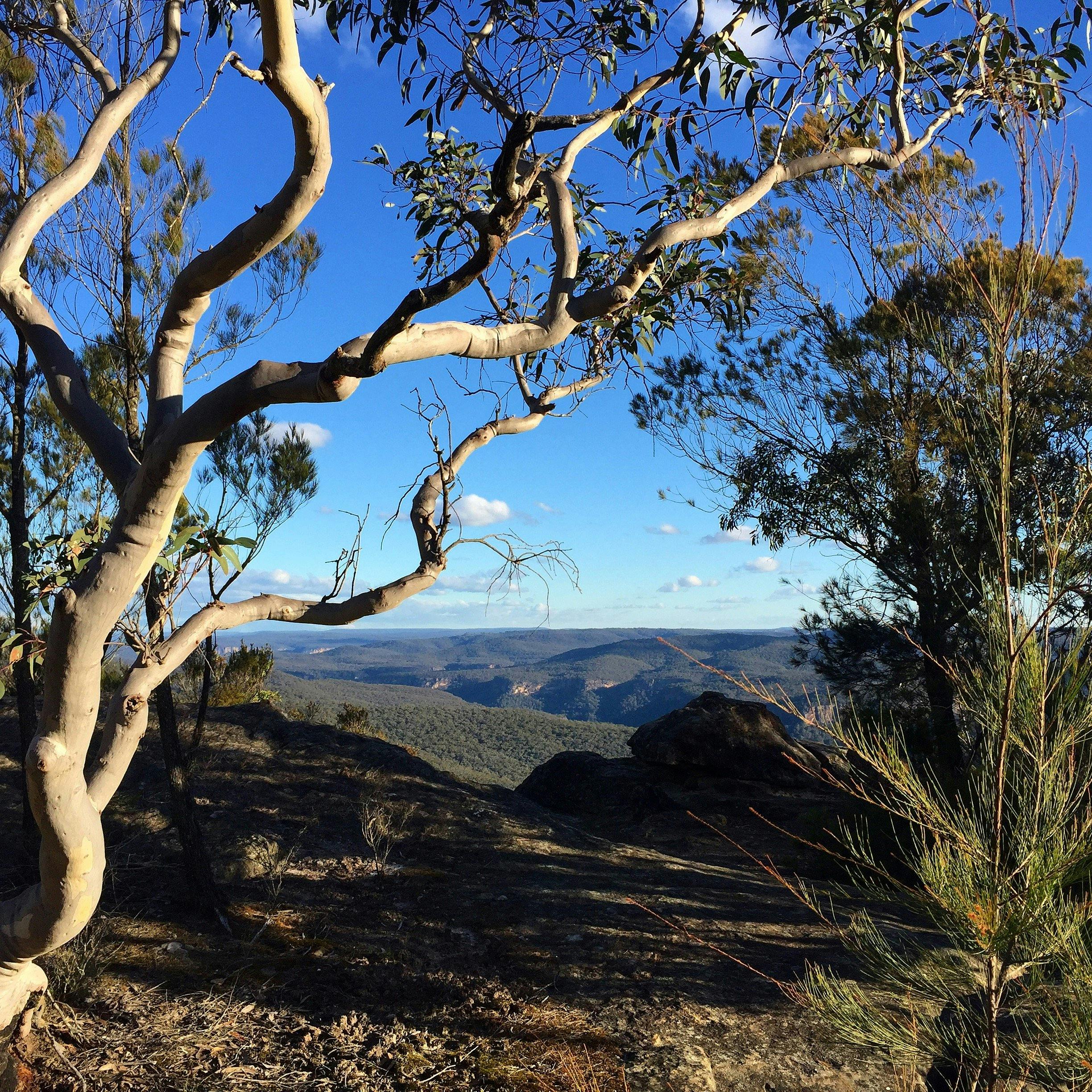 Morton National Park